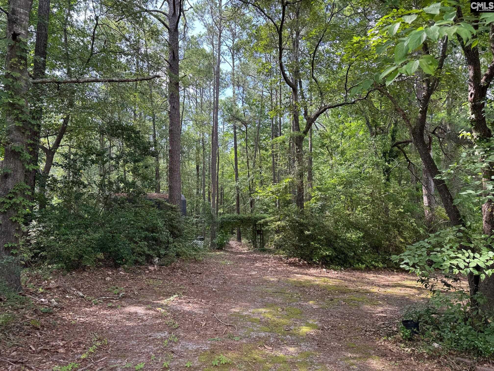 310 Deerfield Drive, Lugoff, South Carolina image 5