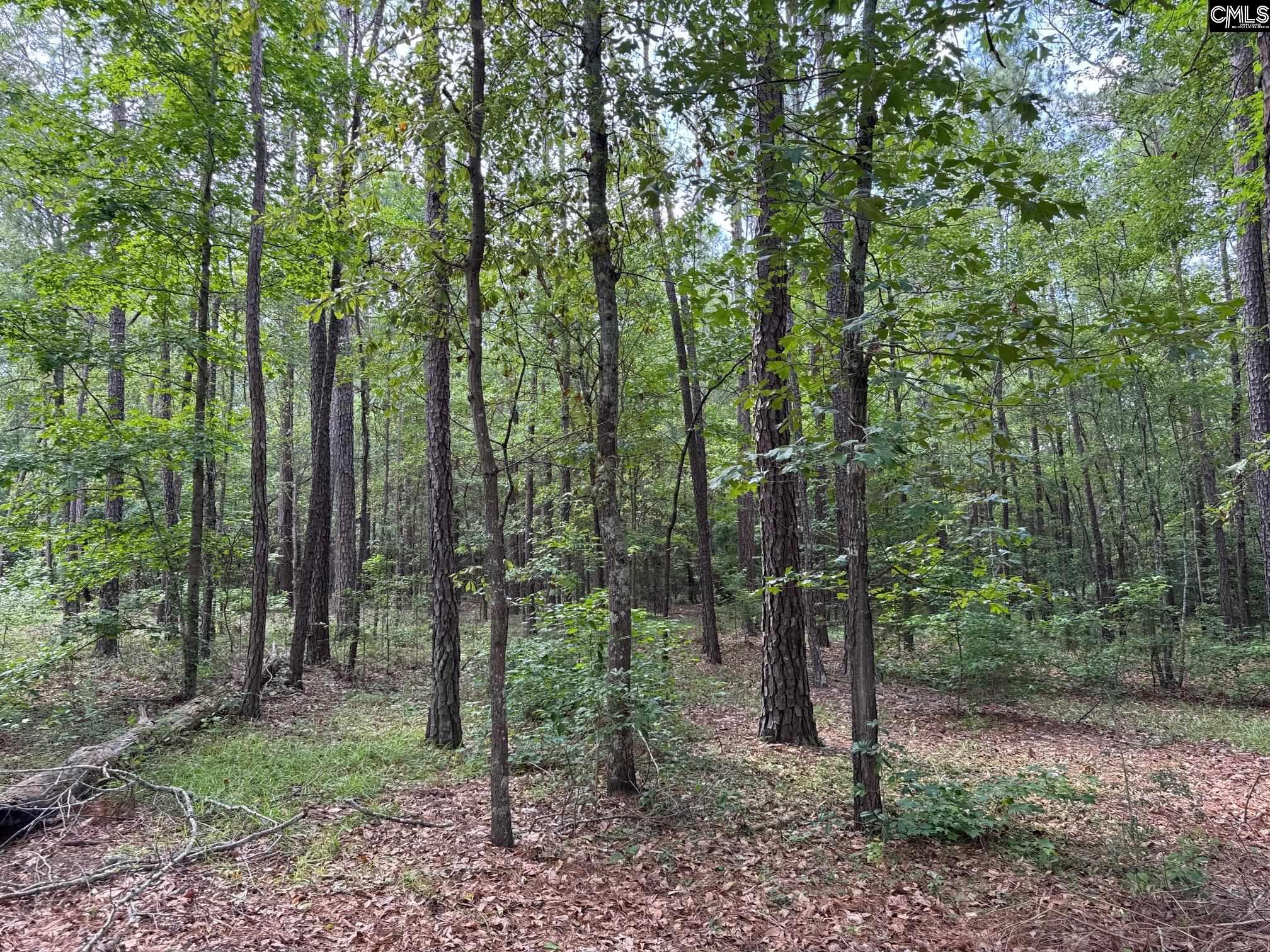 310 Deerfield Drive, Lugoff, South Carolina image 6