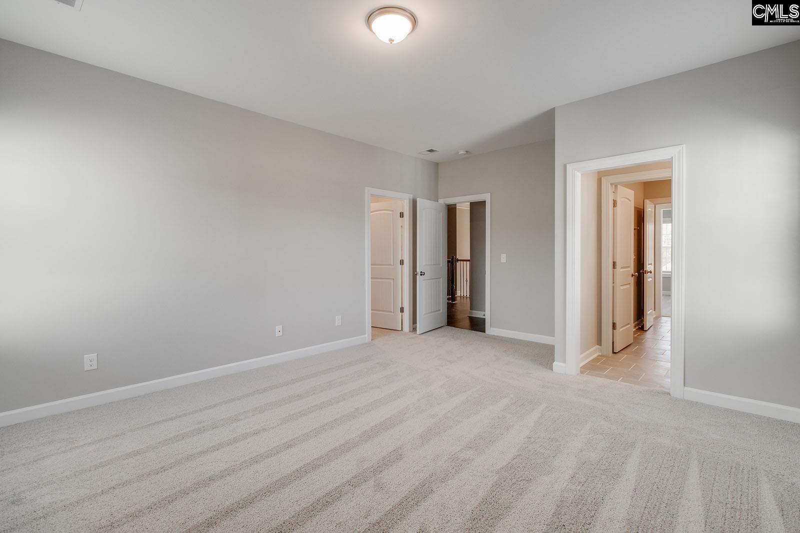 2316 Hadley Crossing, Chapin, South Carolina image 21