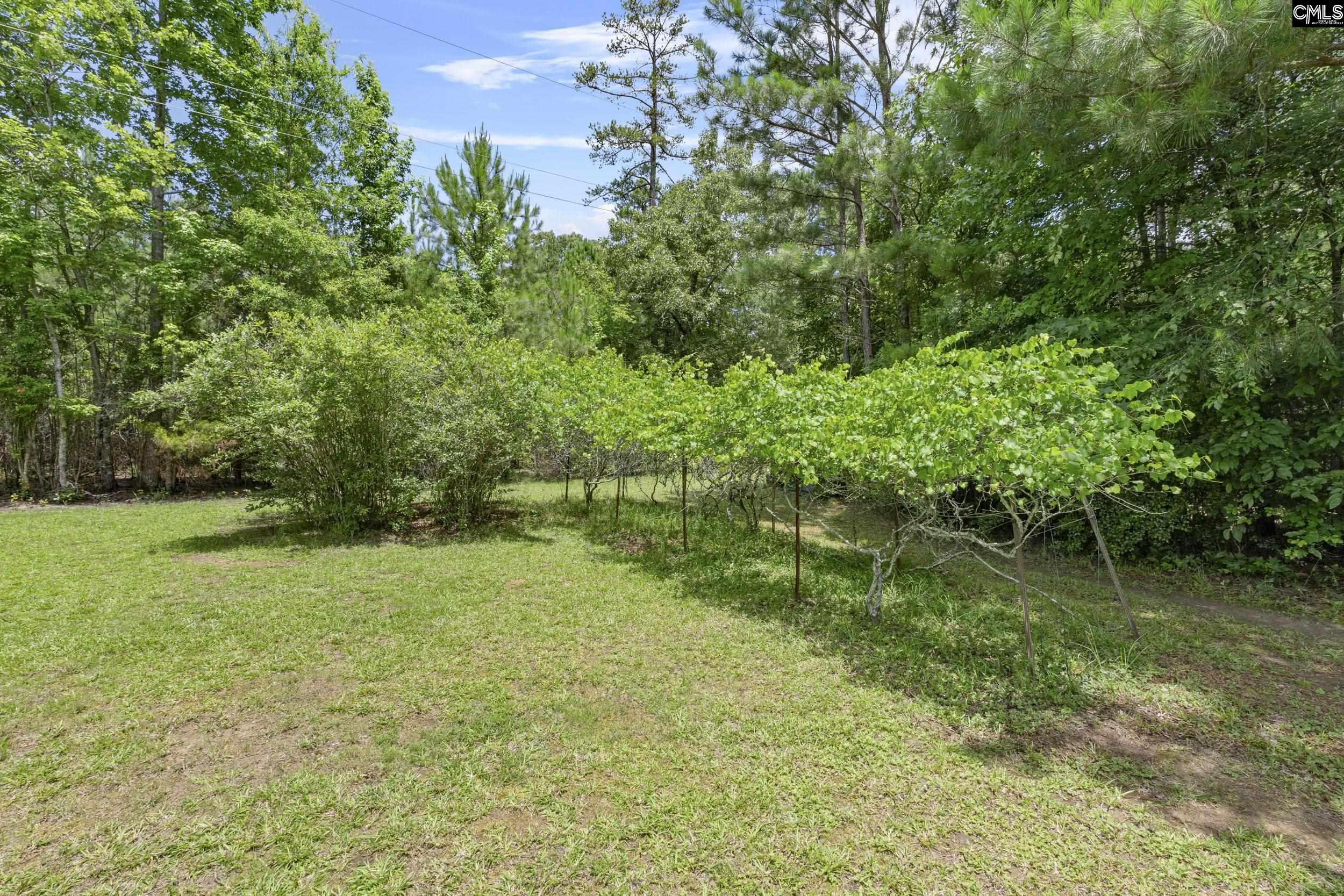 211 Twin Pine Drive, Little Mountain, South Carolina image 50
