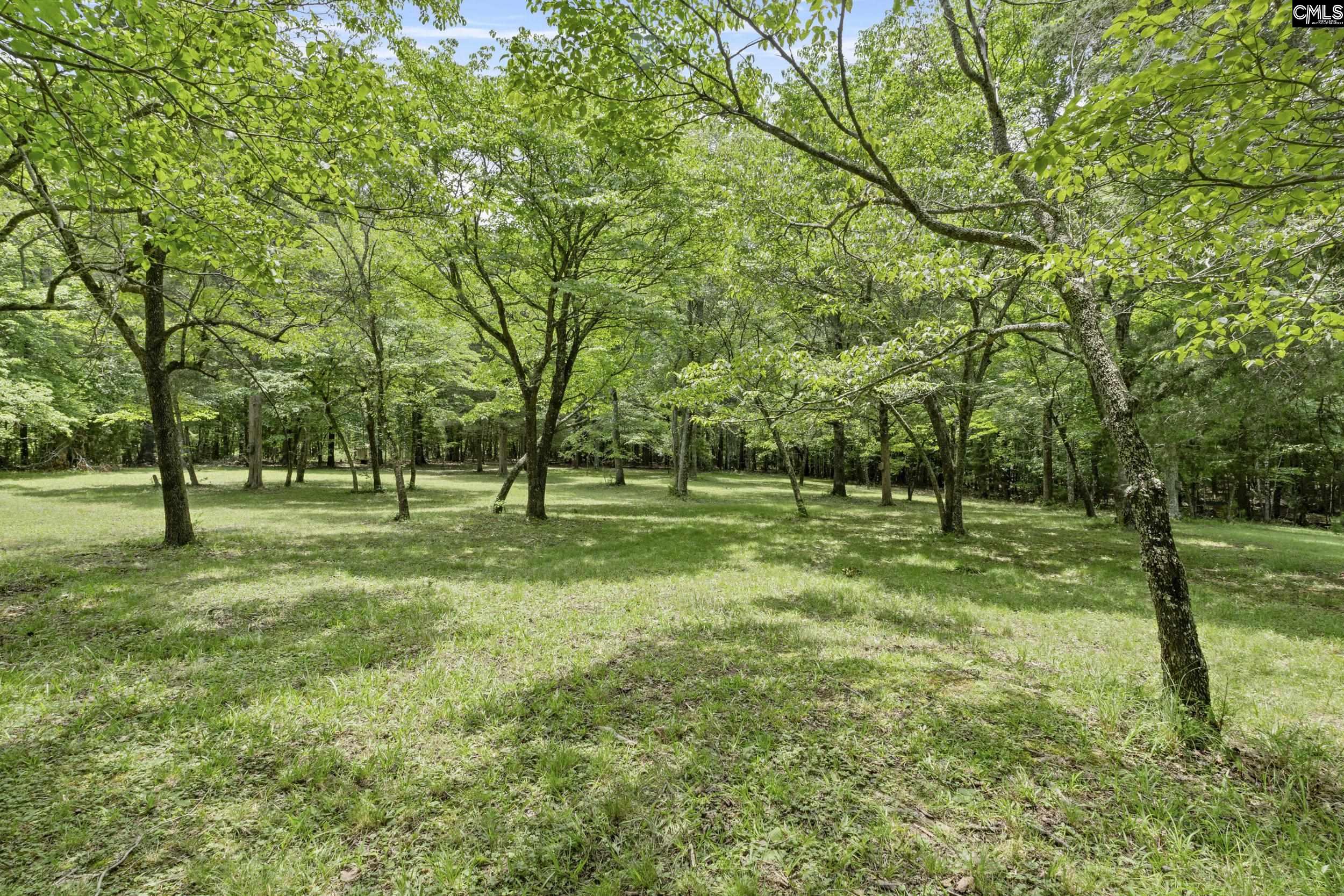 211 Twin Pine Drive Little Mountain, SC 29075