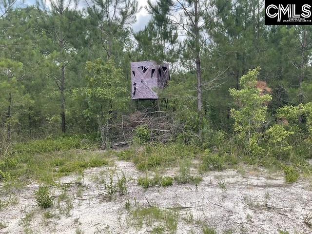 4515 Catawba Road, Kershaw, South Carolina image 13