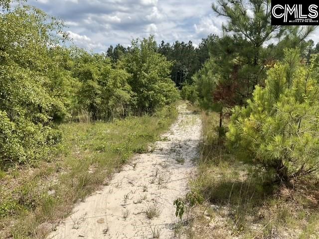4515 Catawba Road, Kershaw, South Carolina image 3