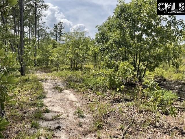 4515 Catawba Road, Kershaw, South Carolina image 4