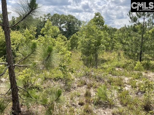 4515 Catawba Road, Kershaw, South Carolina image 7