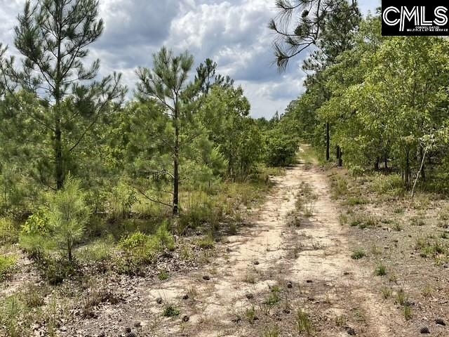 4515 Catawba Road, Kershaw, South Carolina image 8