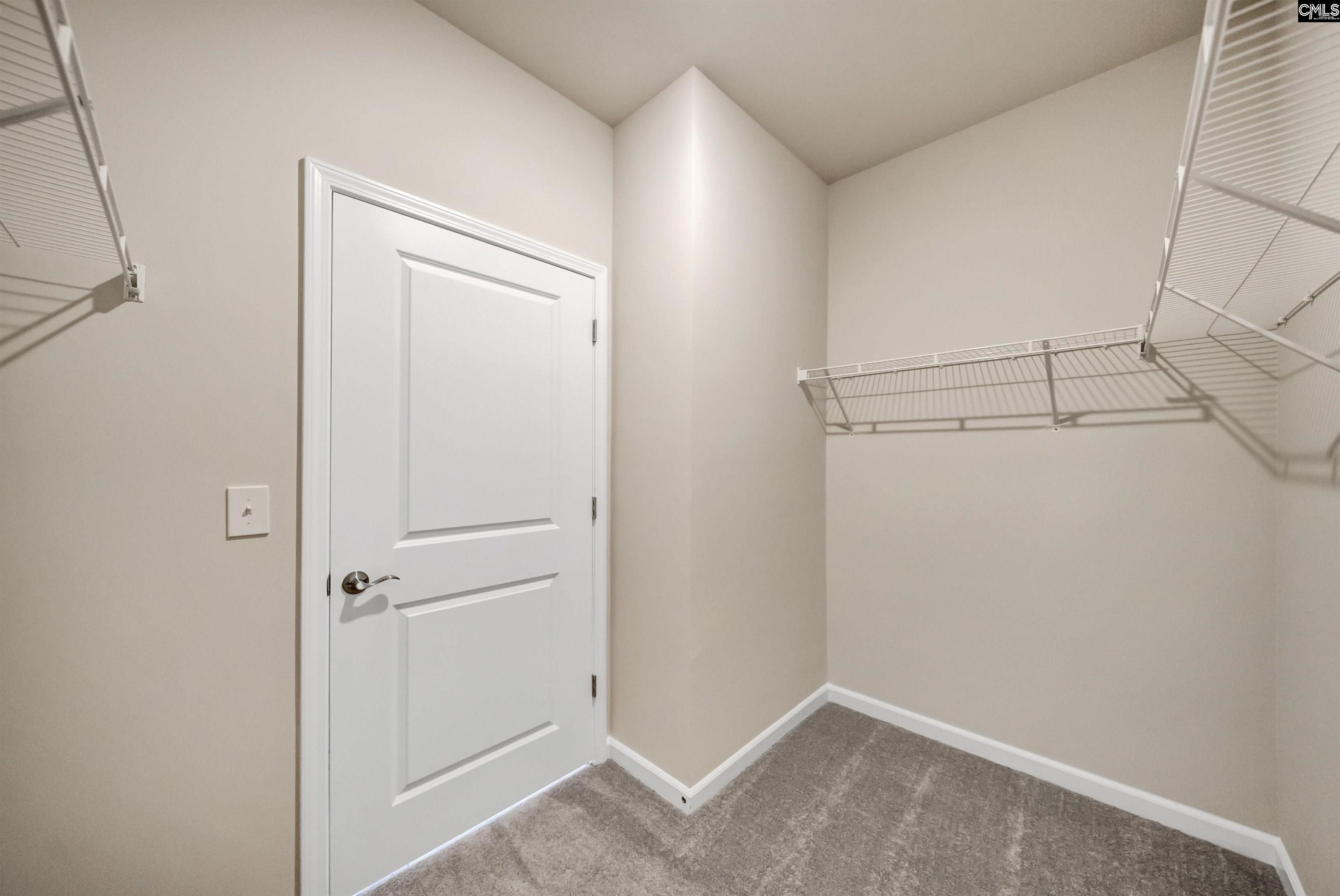 259 Backspin Drive, Elgin, South Carolina image 25
