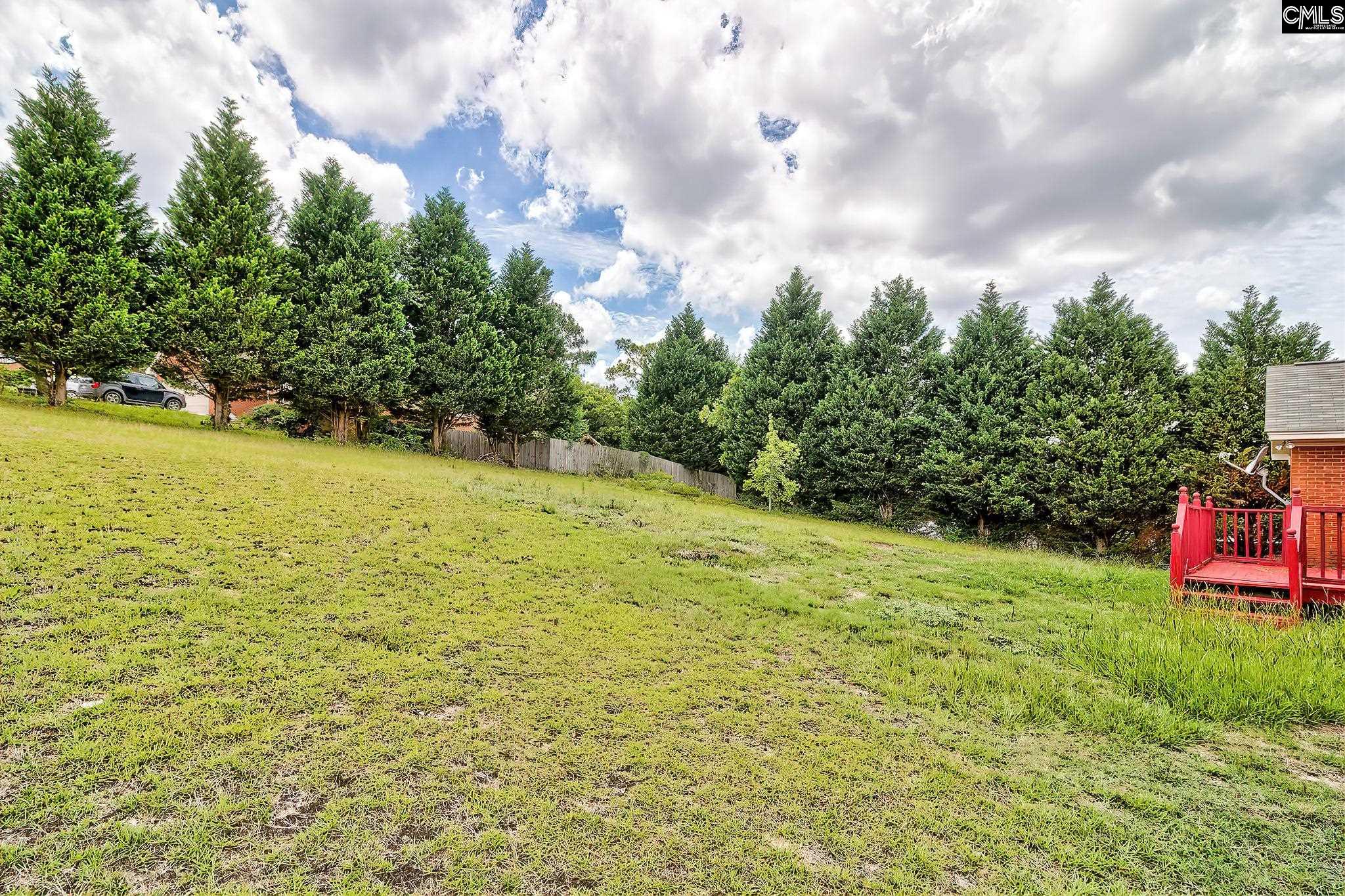 226 Cornerstone Ln, Lexington, South Carolina image 33