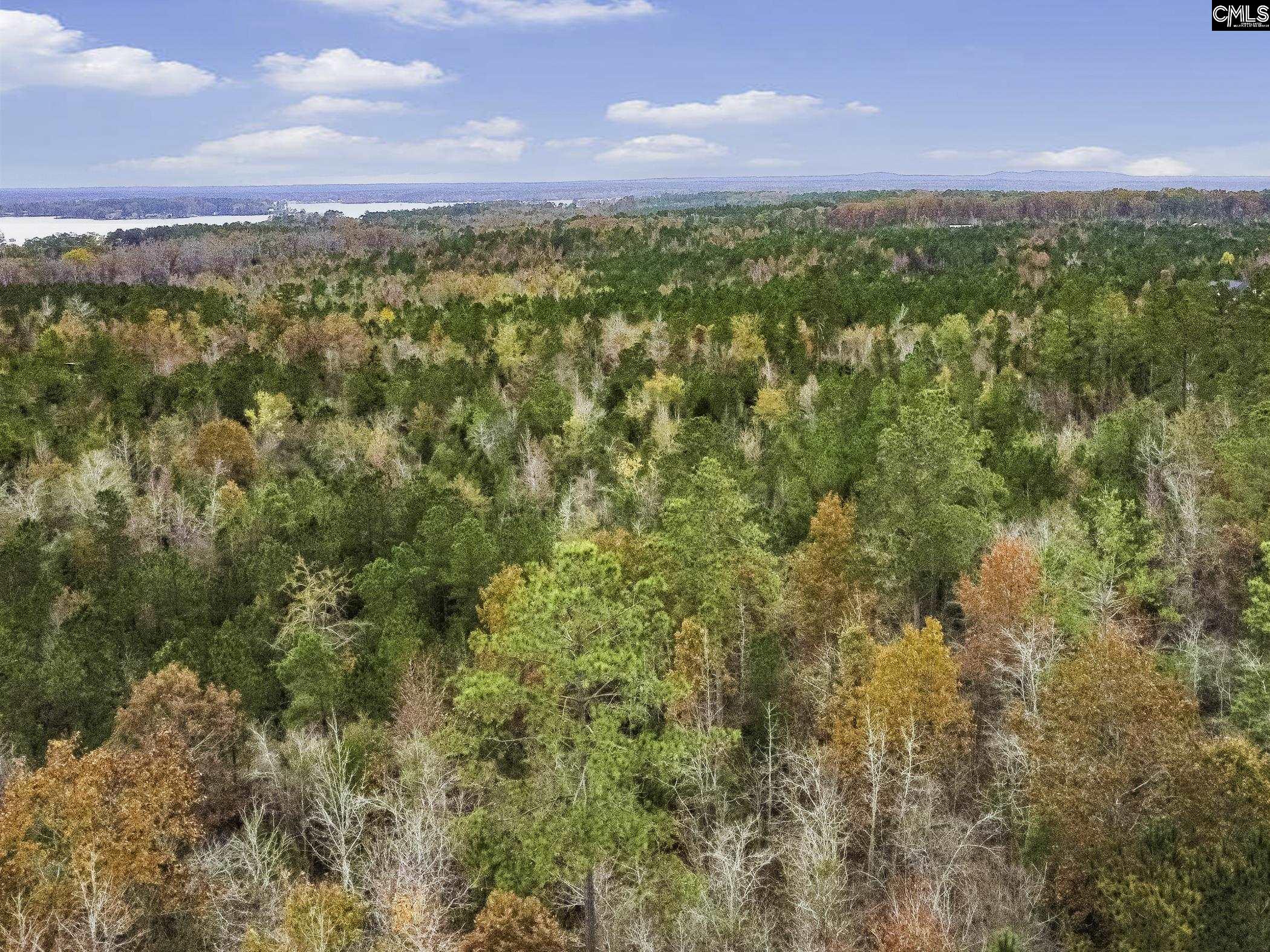 000A Rock N Creek Road, Leesville, South Carolina image 3