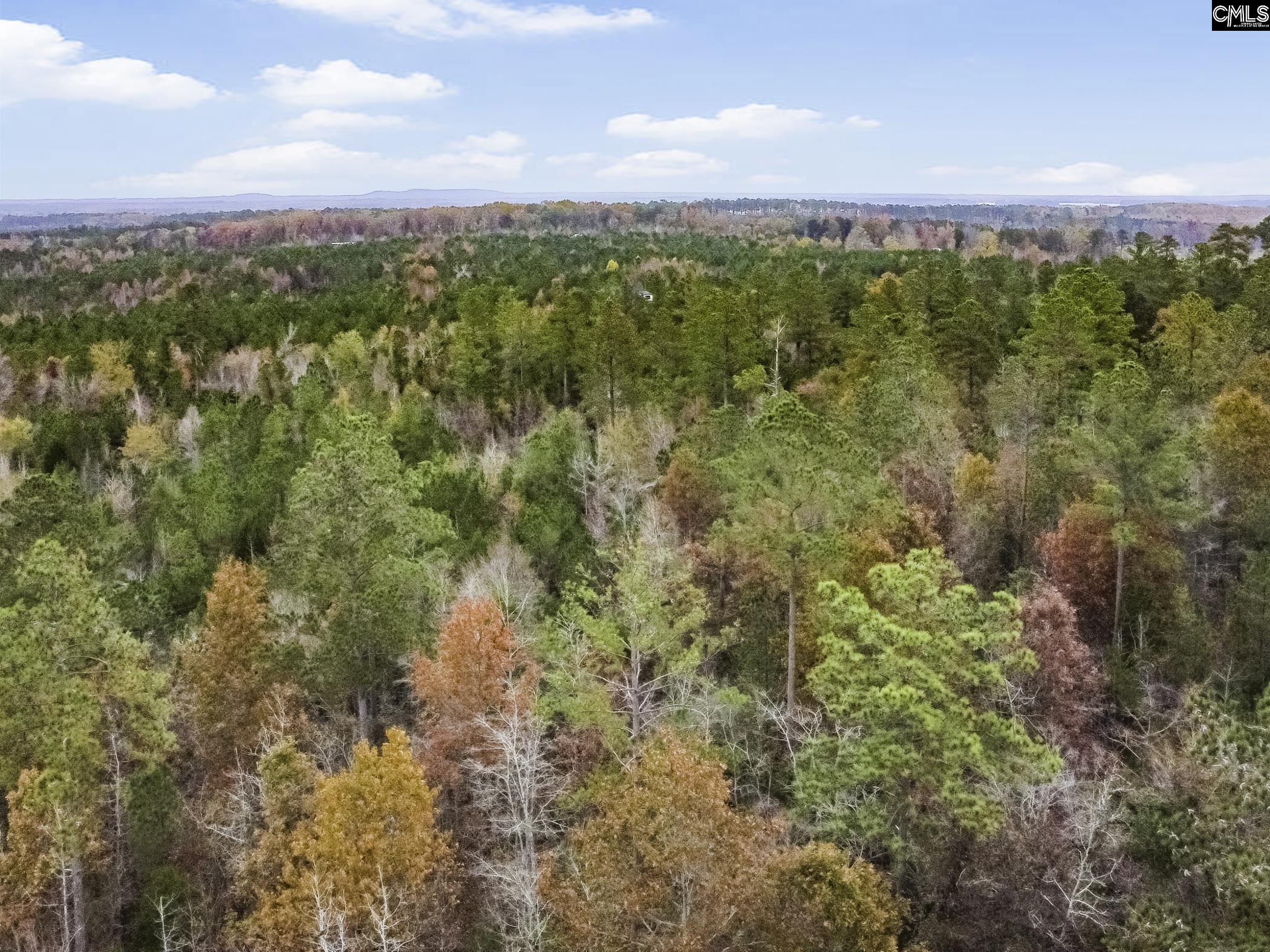 000A Rock N Creek Road, Leesville, South Carolina image 4