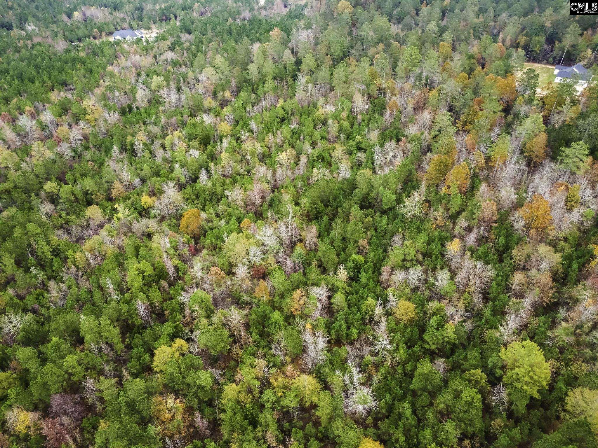 000A Rock N Creek Road, Leesville, South Carolina image 5