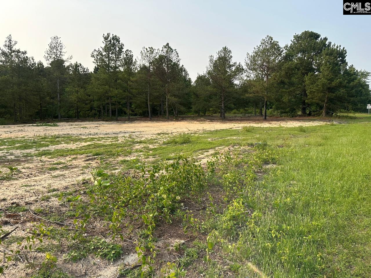 4024 Bethune Road Bethune, SC 29009