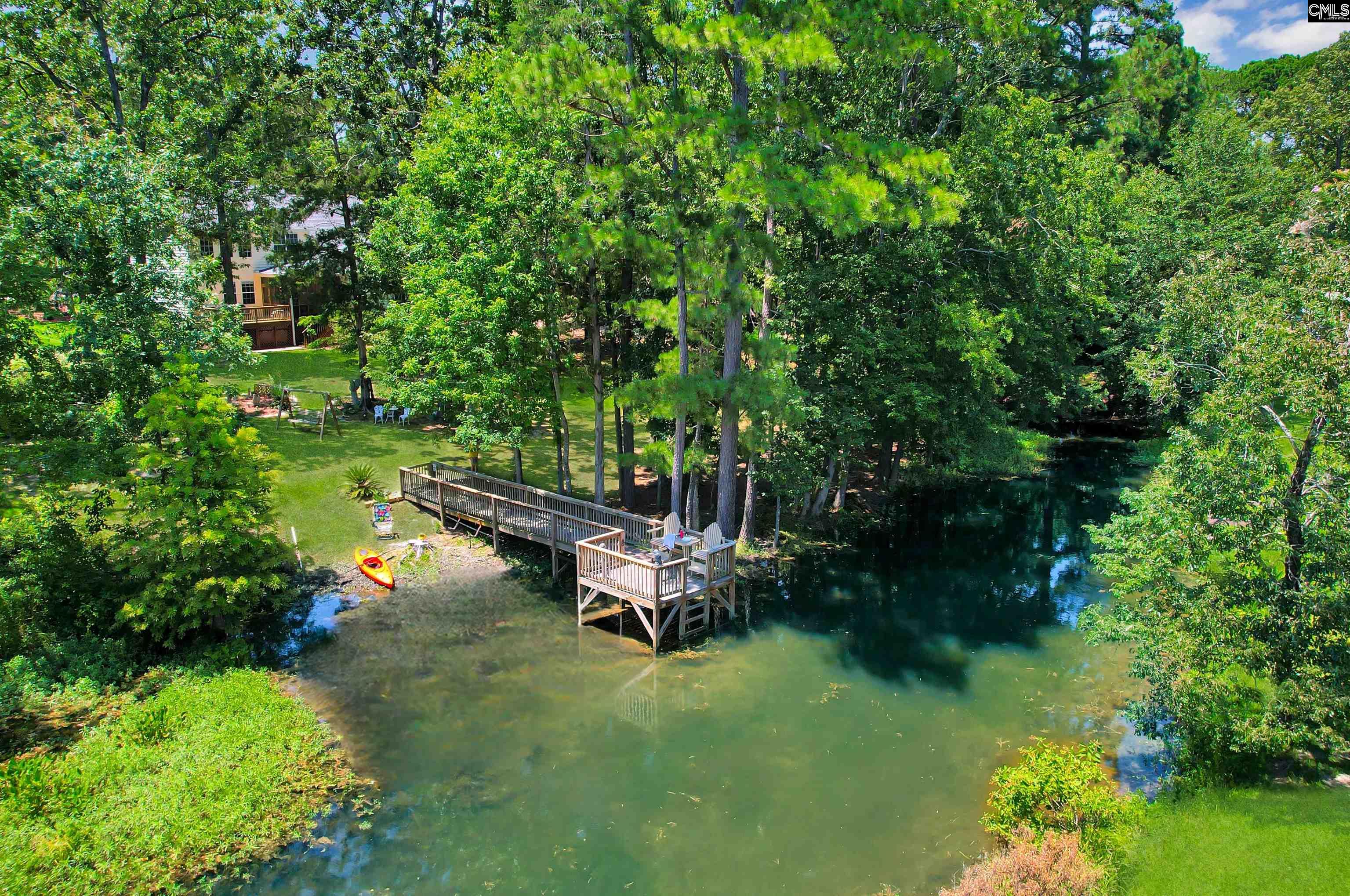 1040 Night Harbor Circle Chapin, SC 29036