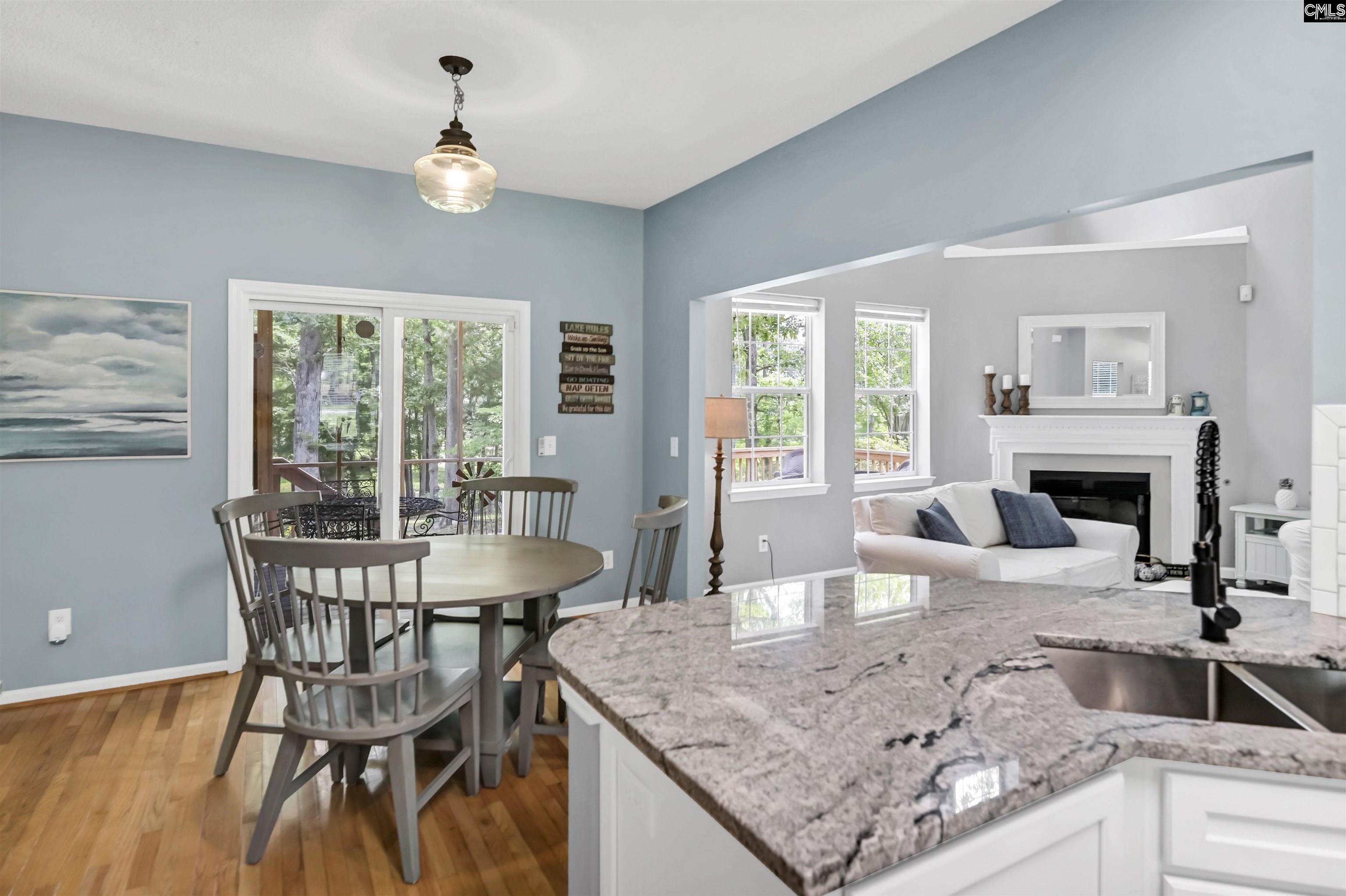 1040 Night Harbor Circle, Chapin, South Carolina image 12