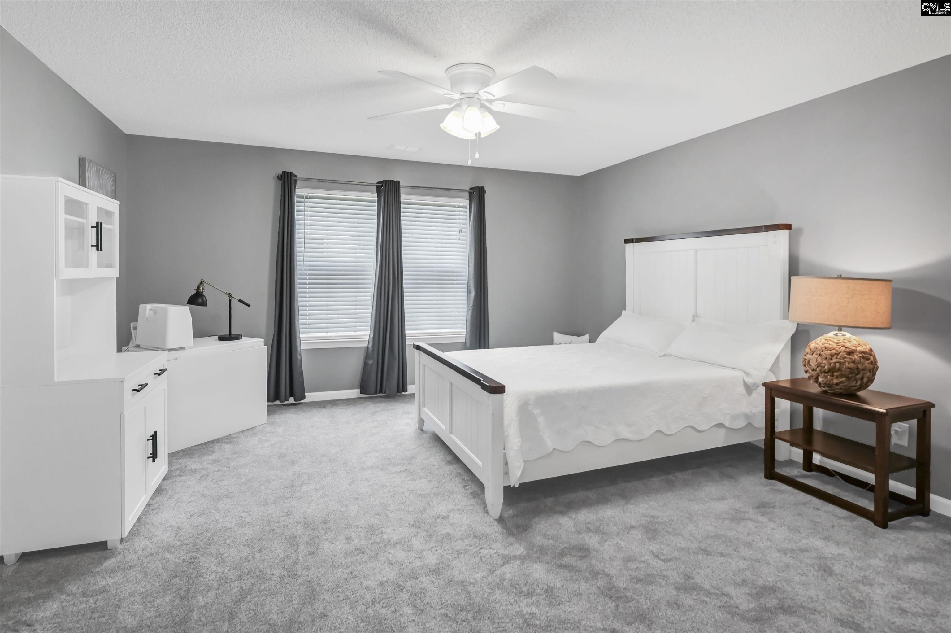1040 Night Harbor Circle, Chapin, South Carolina image 16