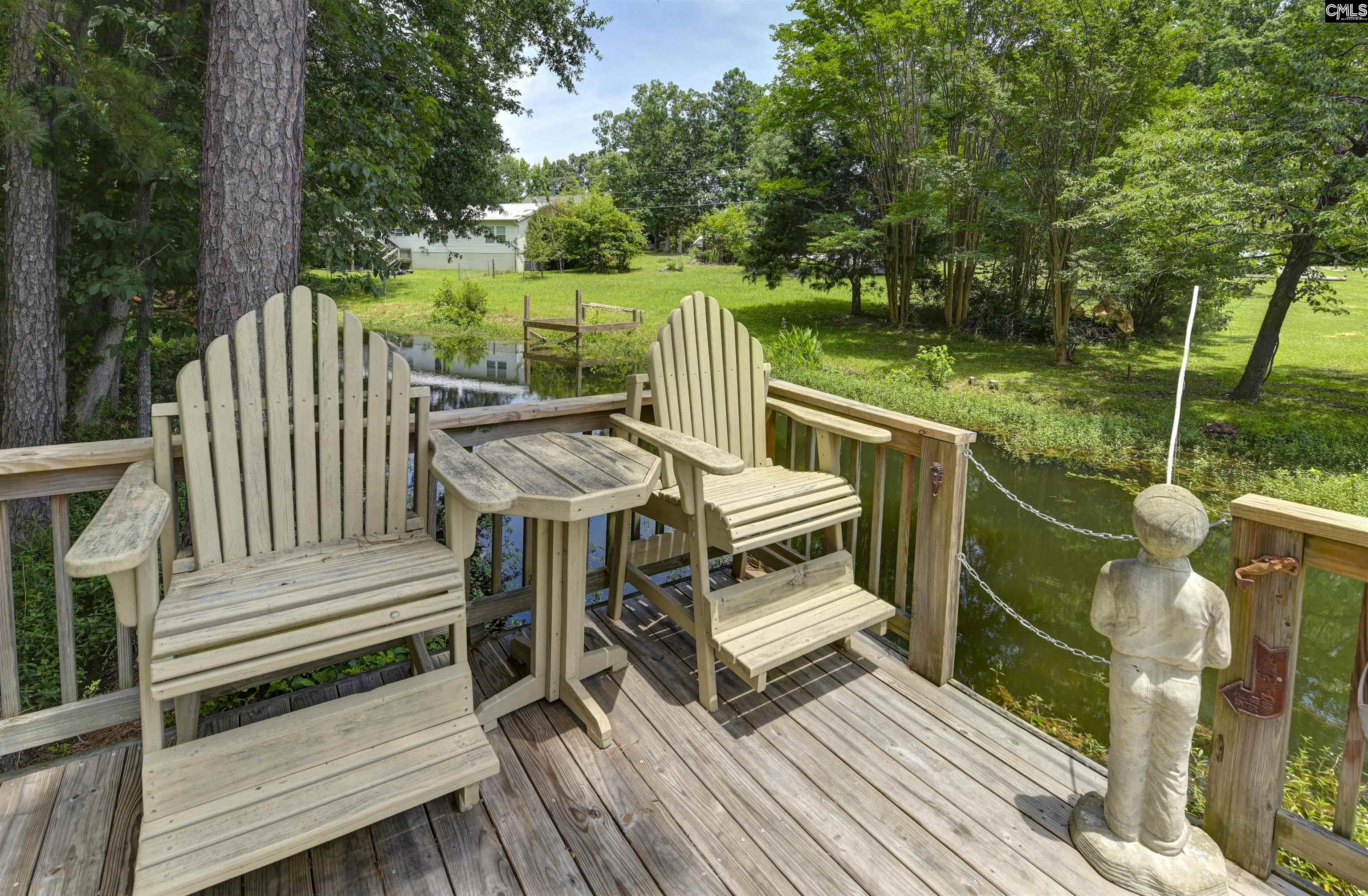 1040 Night Harbor Circle, Chapin, South Carolina image 27