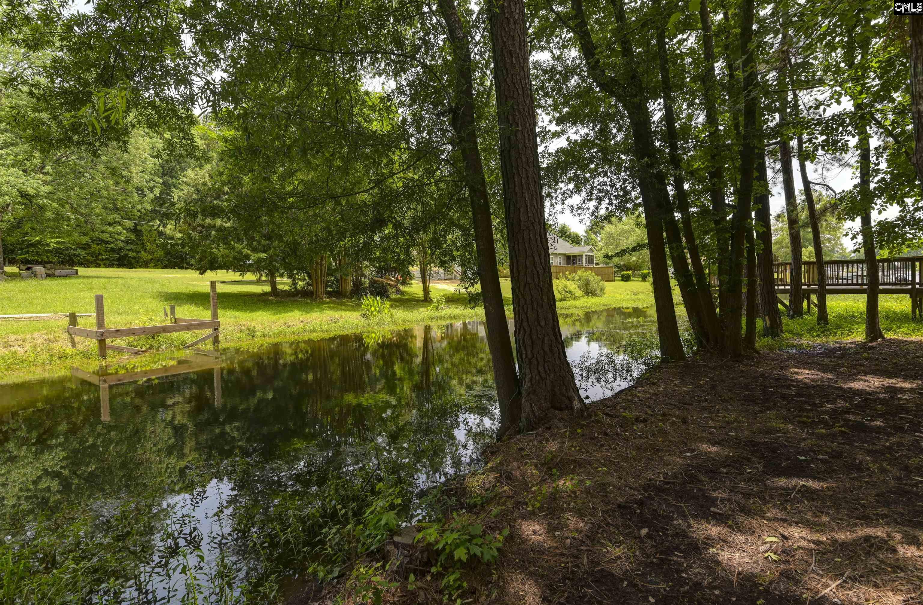 1040 Night Harbor Circle, Chapin, South Carolina image 30