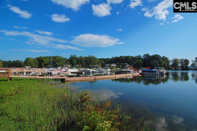 1040 Night Harbor Circle, Chapin, South Carolina image 40