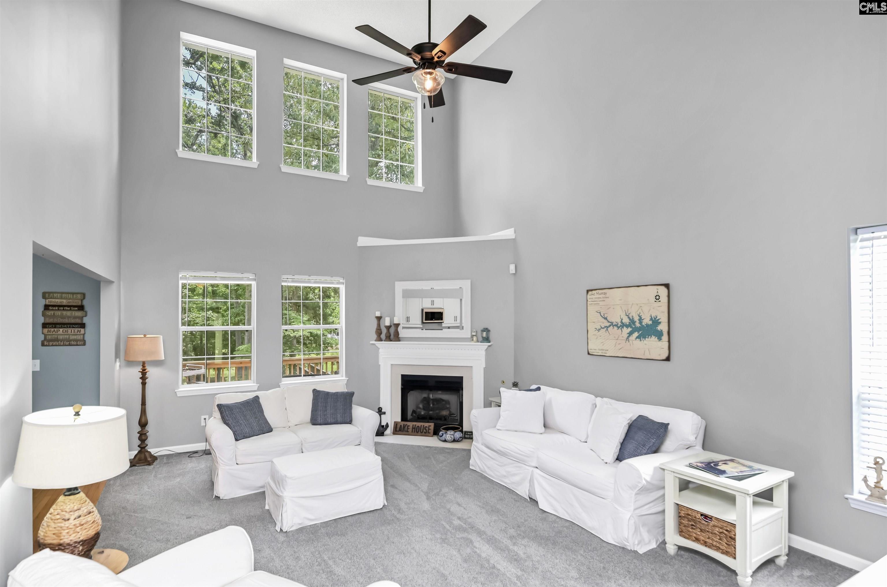 1040 Night Harbor Circle, Chapin, South Carolina image 5