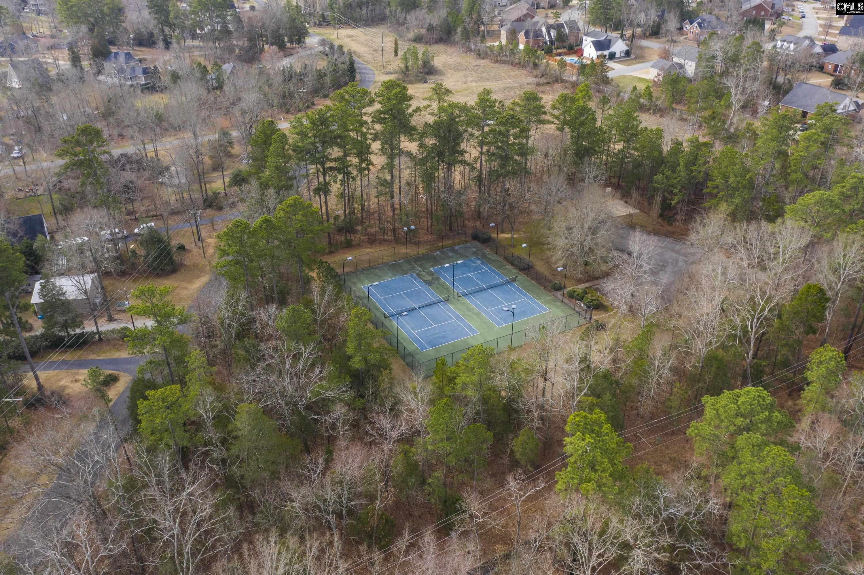1040 Night Harbor Circle, Chapin, South Carolina image 41