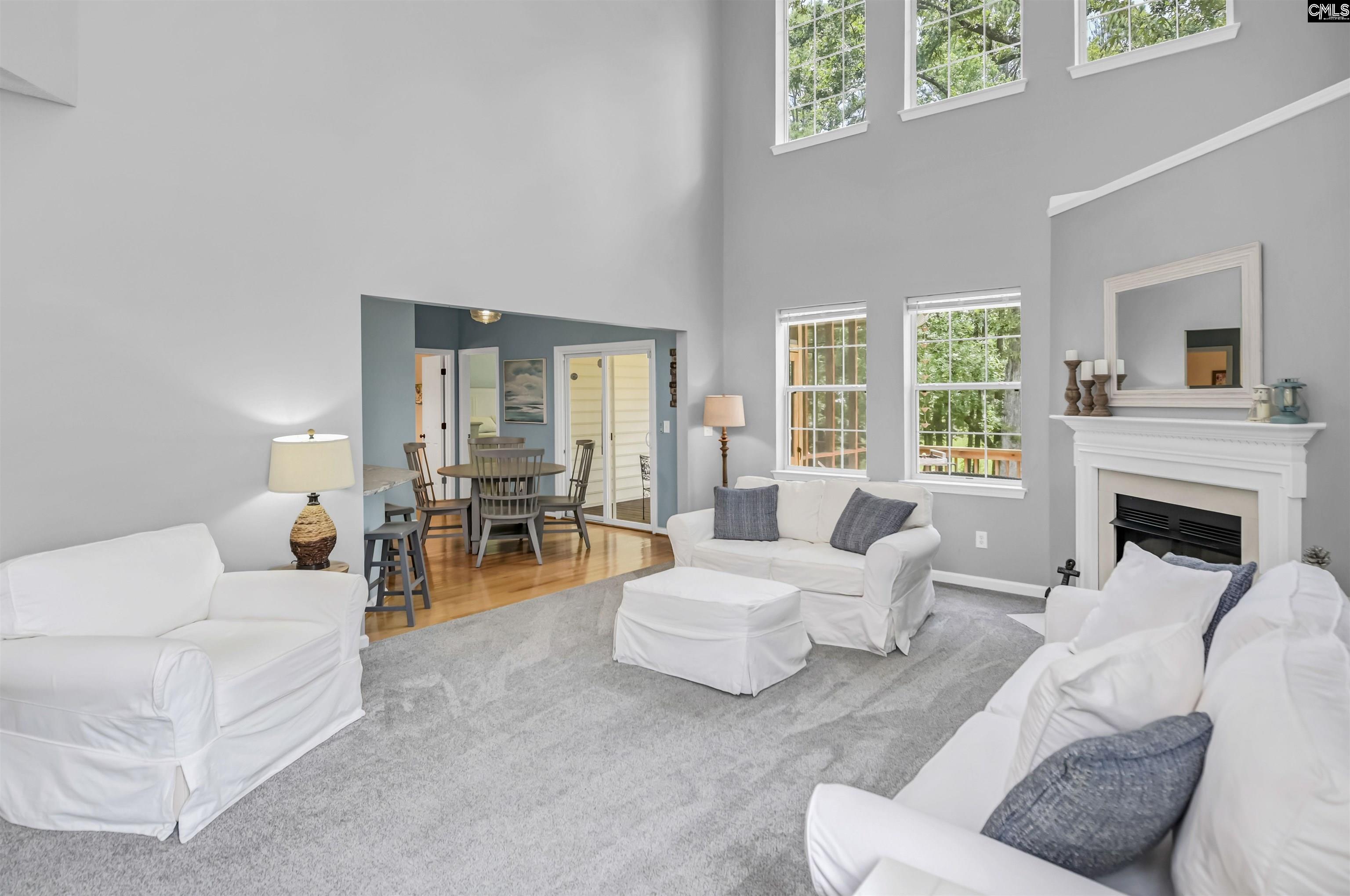 1040 Night Harbor Circle, Chapin, South Carolina image 6