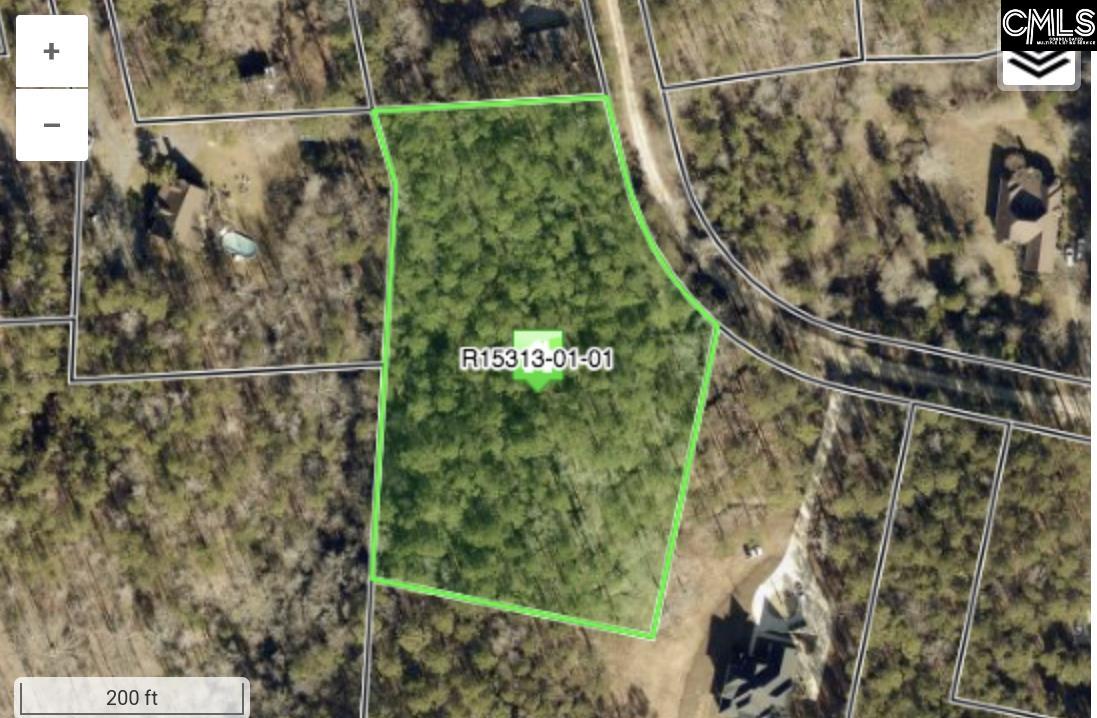 4 Pineview Church Court, Blythewood, South Carolina image 1