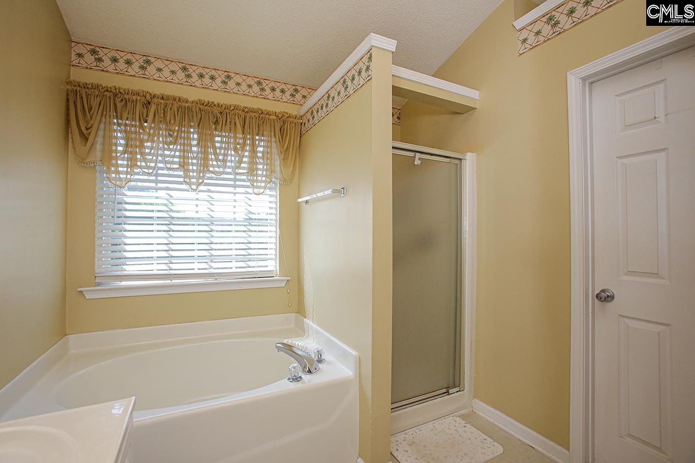305 Beltrees Drive, Lexington, South Carolina image 37