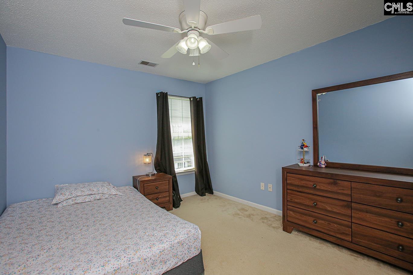 305 Beltrees Drive, Lexington, South Carolina image 42
