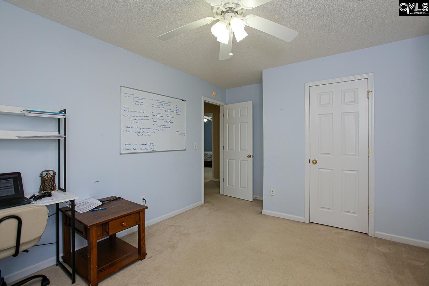 305 Beltrees Drive, Lexington, South Carolina image 48