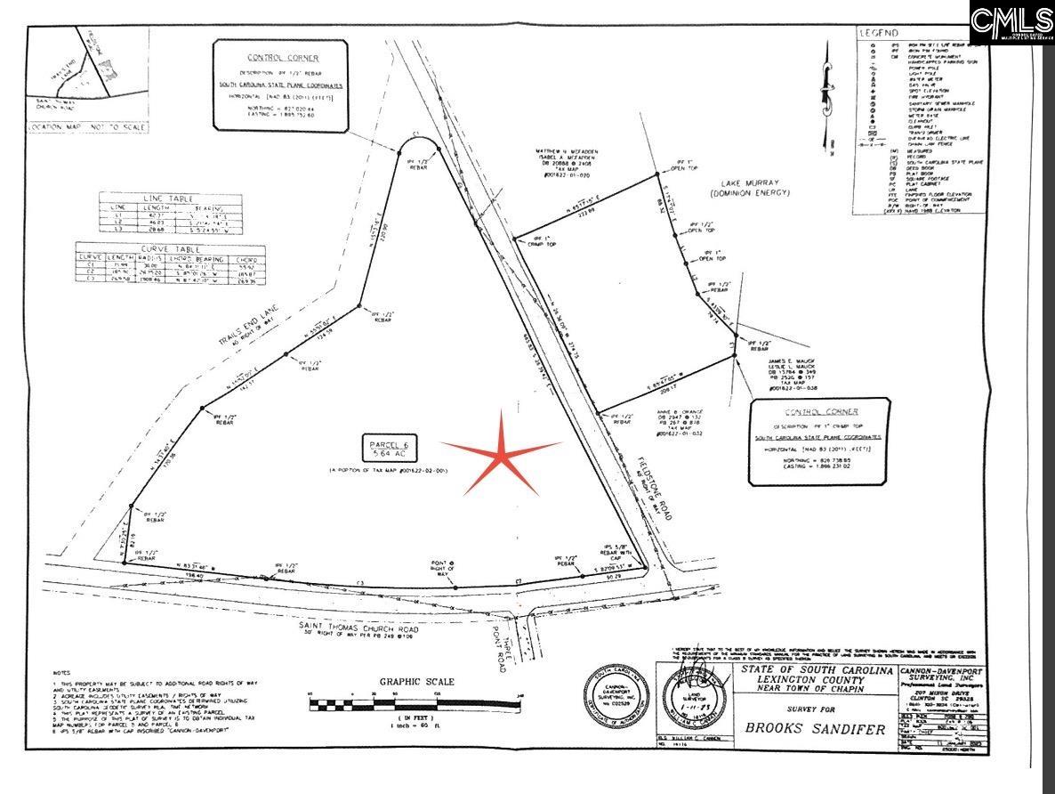St. Thomas Church Rd, Chapin, South Carolina image 4