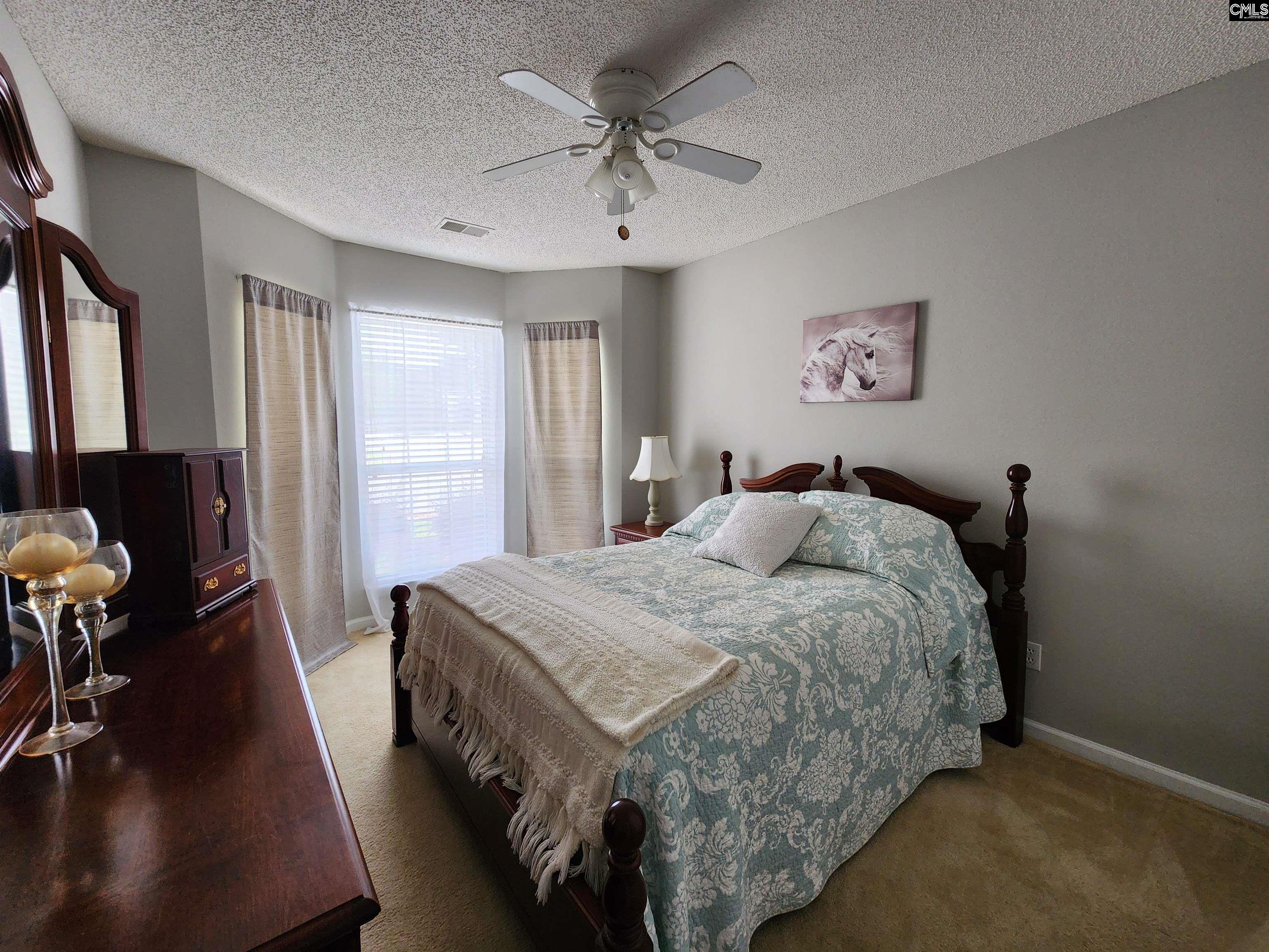 101 Merrimac Court, Lexington, South Carolina image 16
