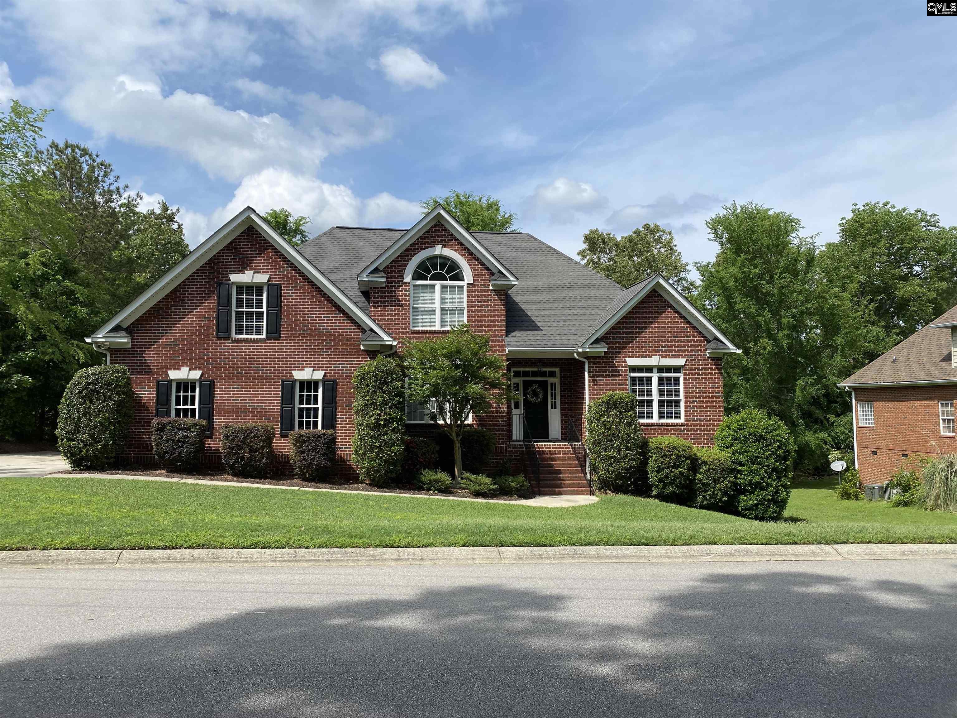 316 Forty Love Point Drive, Chapin, South Carolina image 1