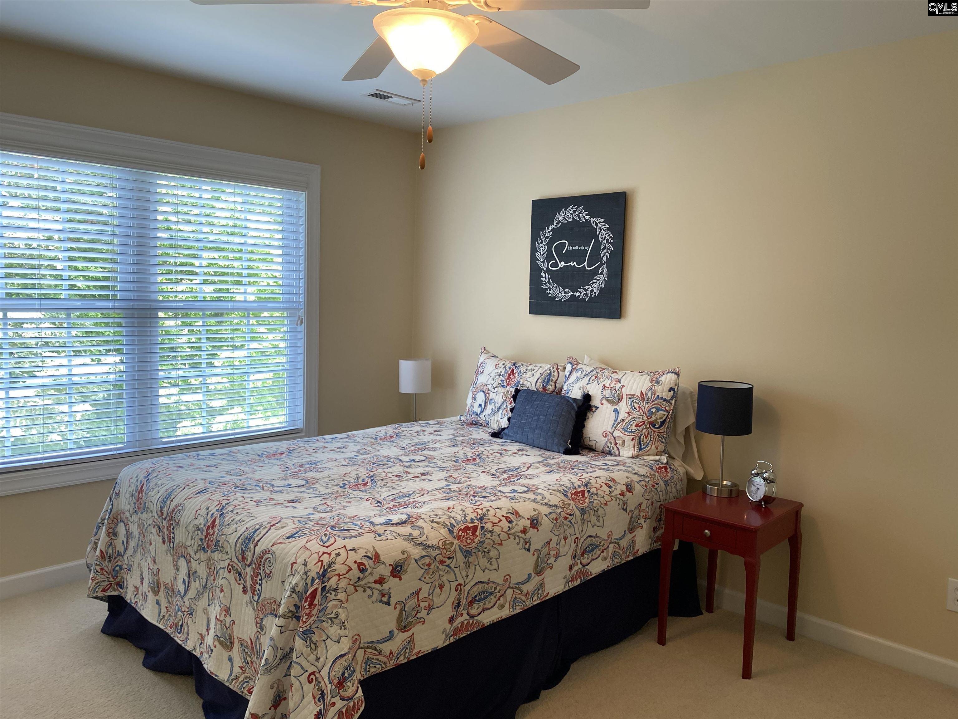 316 Forty Love Point Drive, Chapin, South Carolina image 11