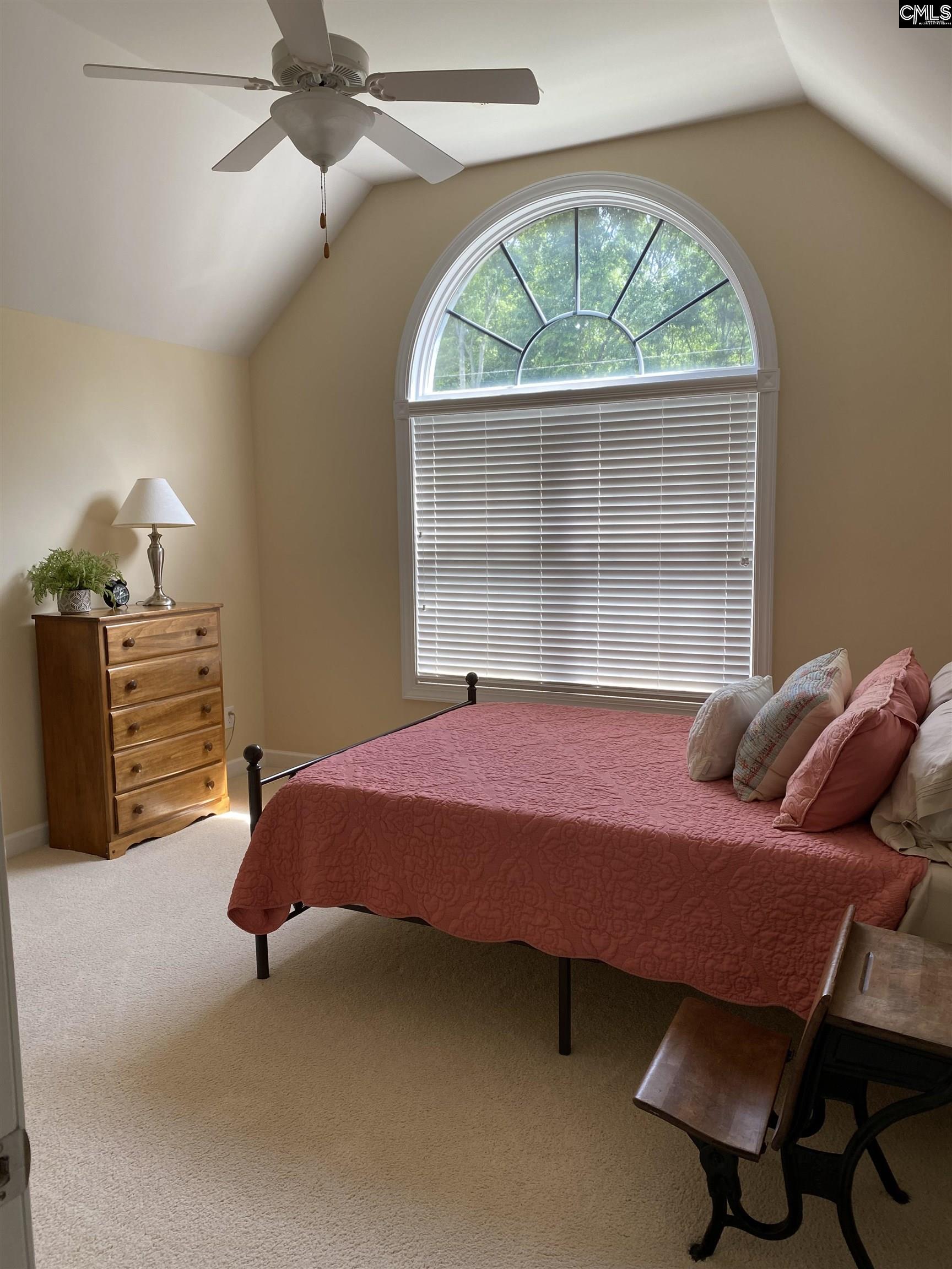 316 Forty Love Point Drive, Chapin, South Carolina image 12