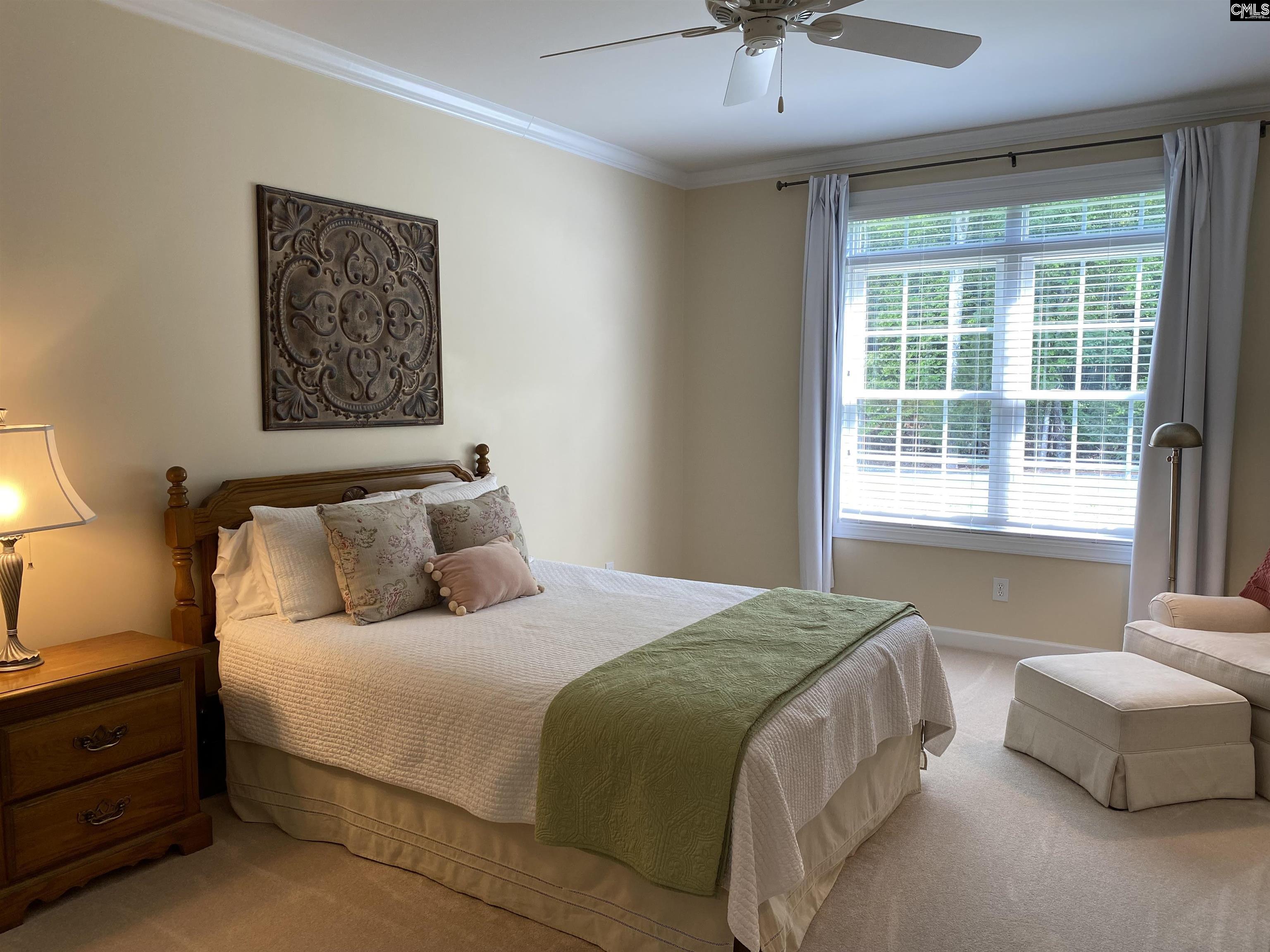 316 Forty Love Point Drive, Chapin, South Carolina image 5