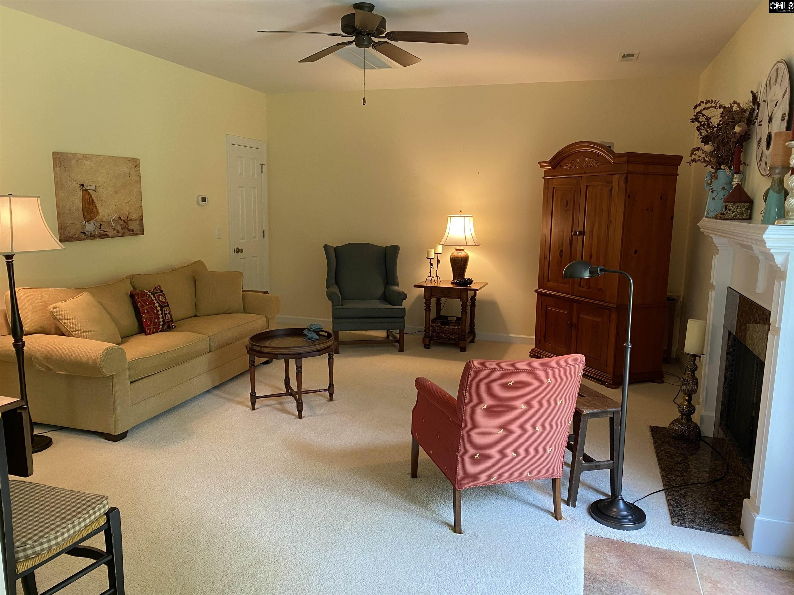 316 Forty Love Point Drive, Chapin, South Carolina image 8