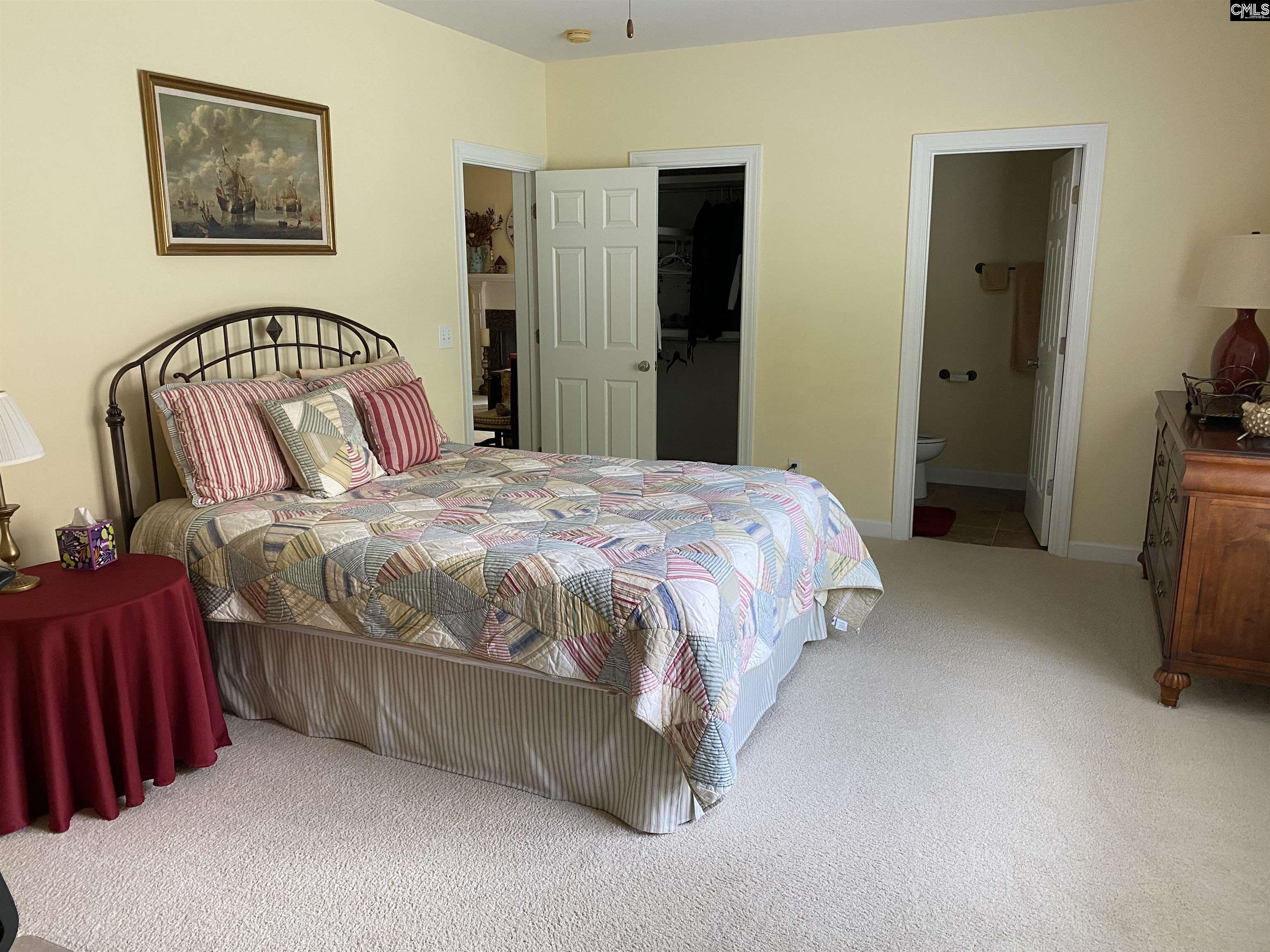316 Forty Love Point Drive, Chapin, South Carolina image 9