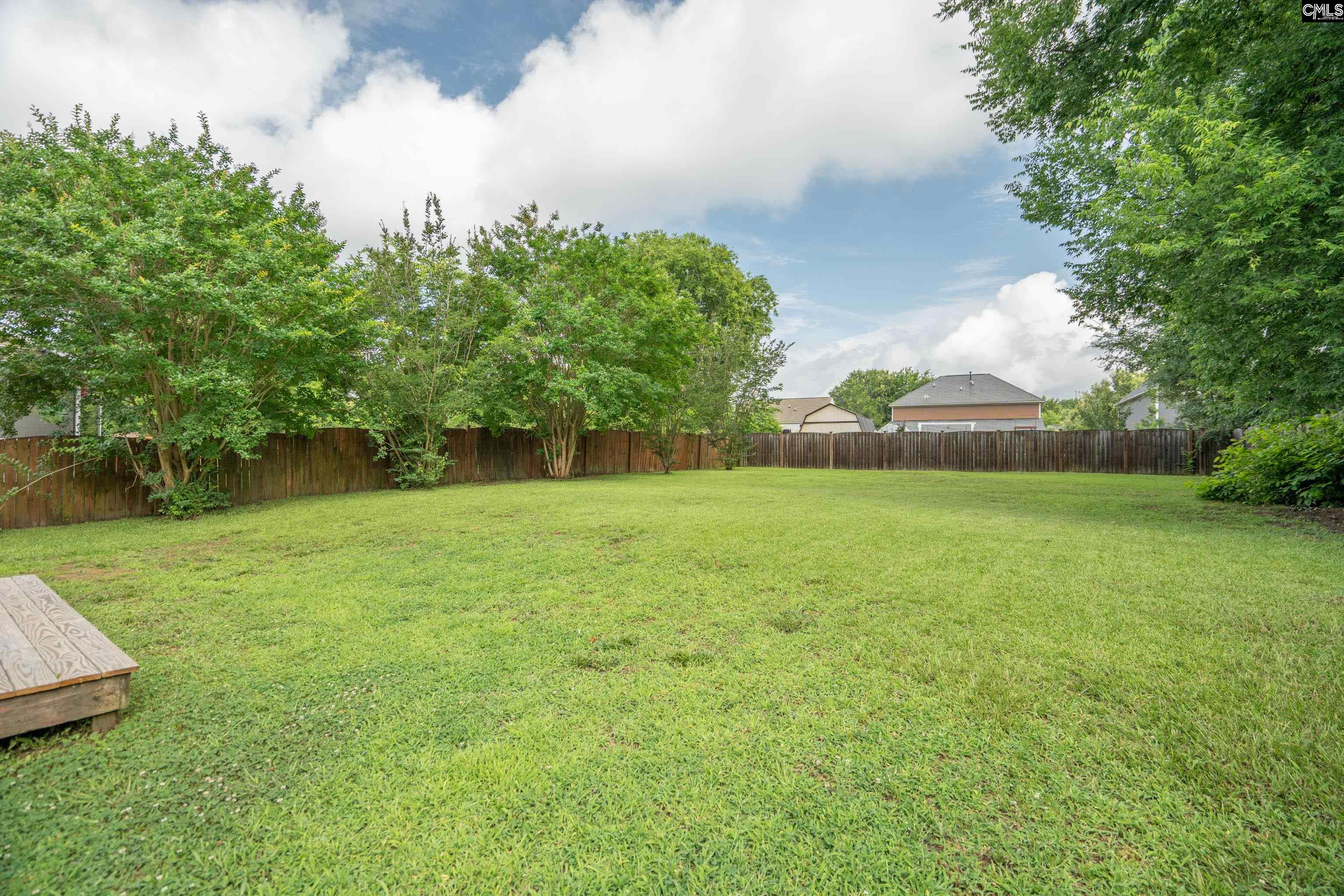 233 Eagle Pointe Drive, Chapin, South Carolina image 31