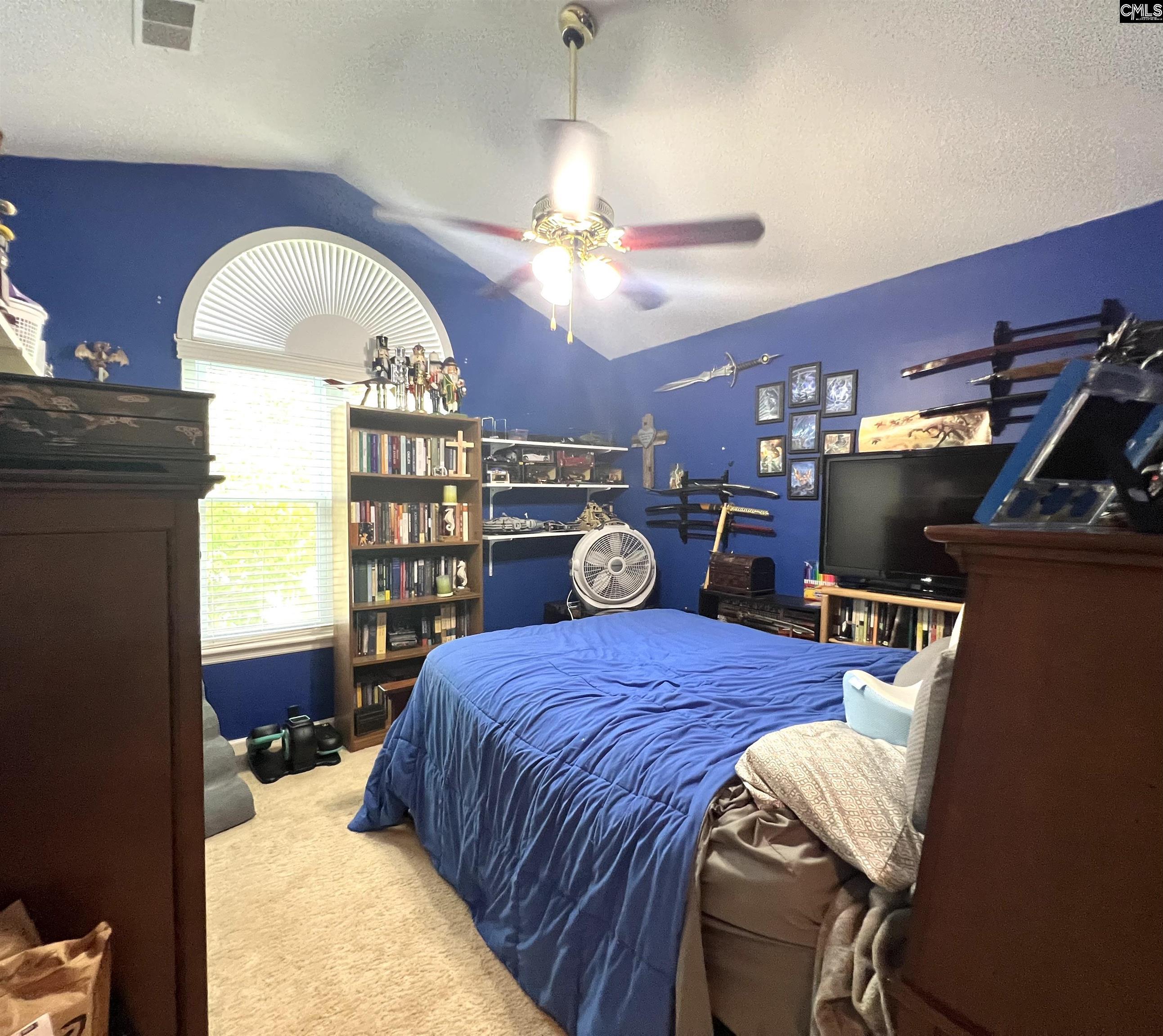 213 Rice Hill Ct, Lexington, South Carolina image 8