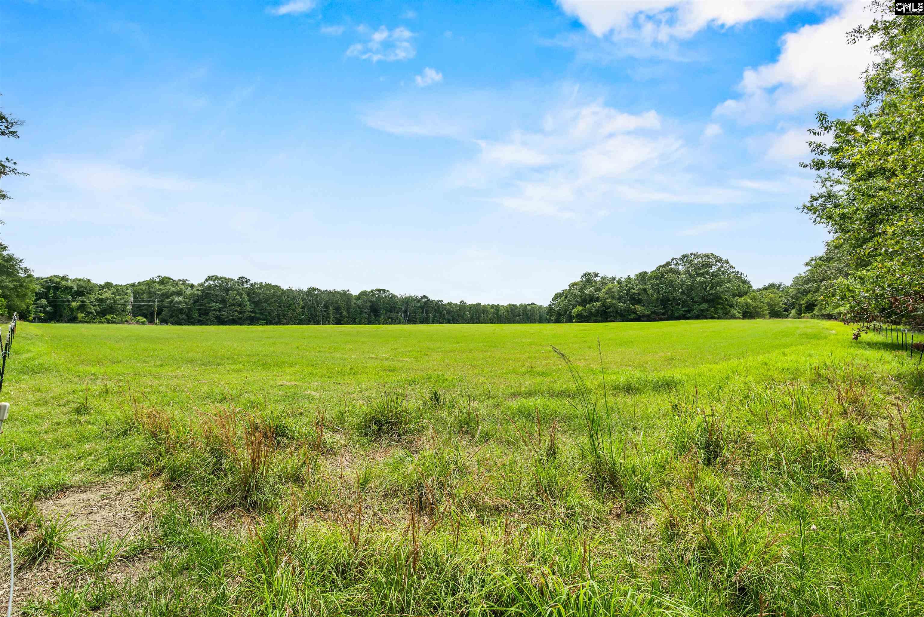 Elbert Taylor Rd., Gilbert, South Carolina image 27