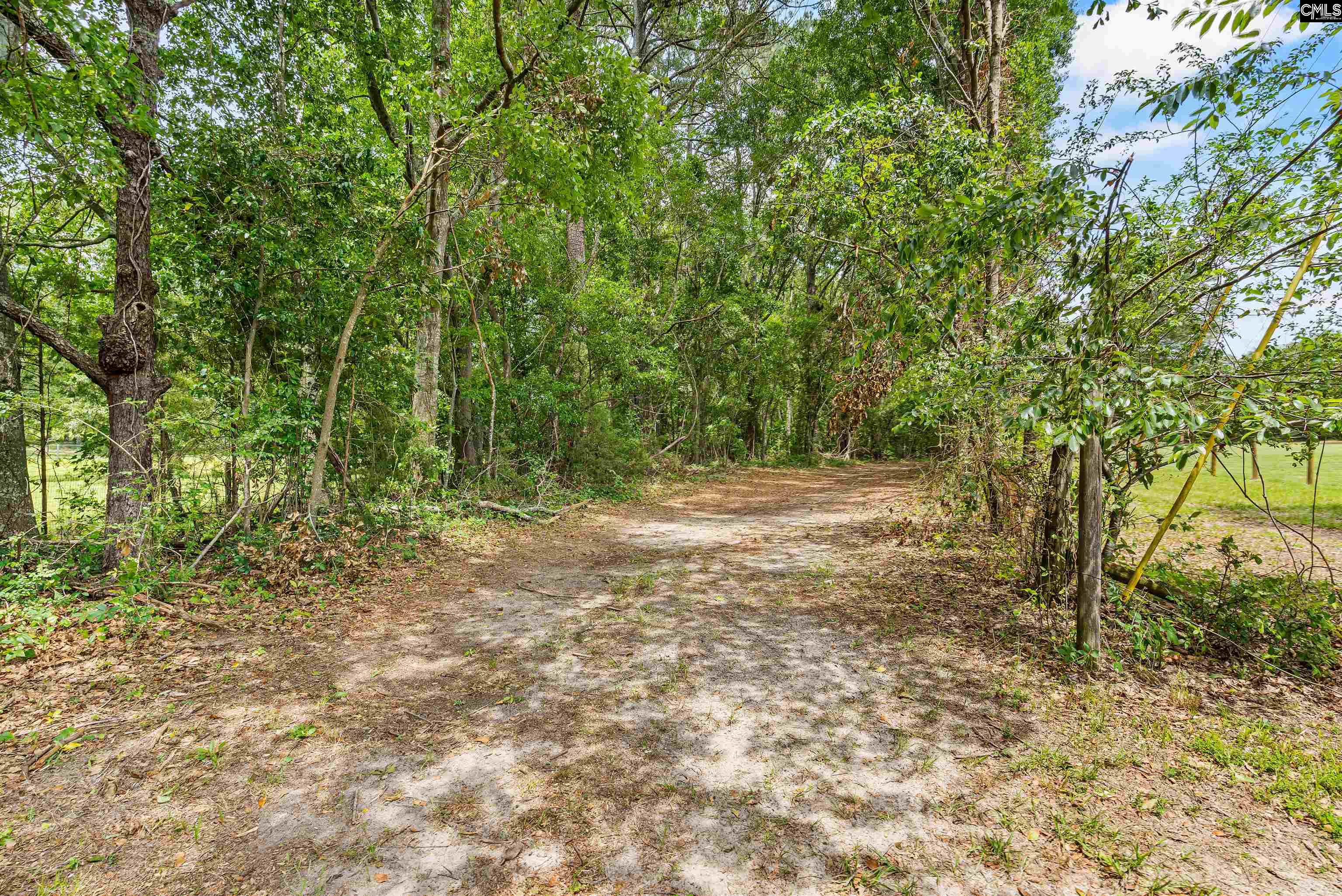 Elbert Taylor Rd., Gilbert, South Carolina image 6