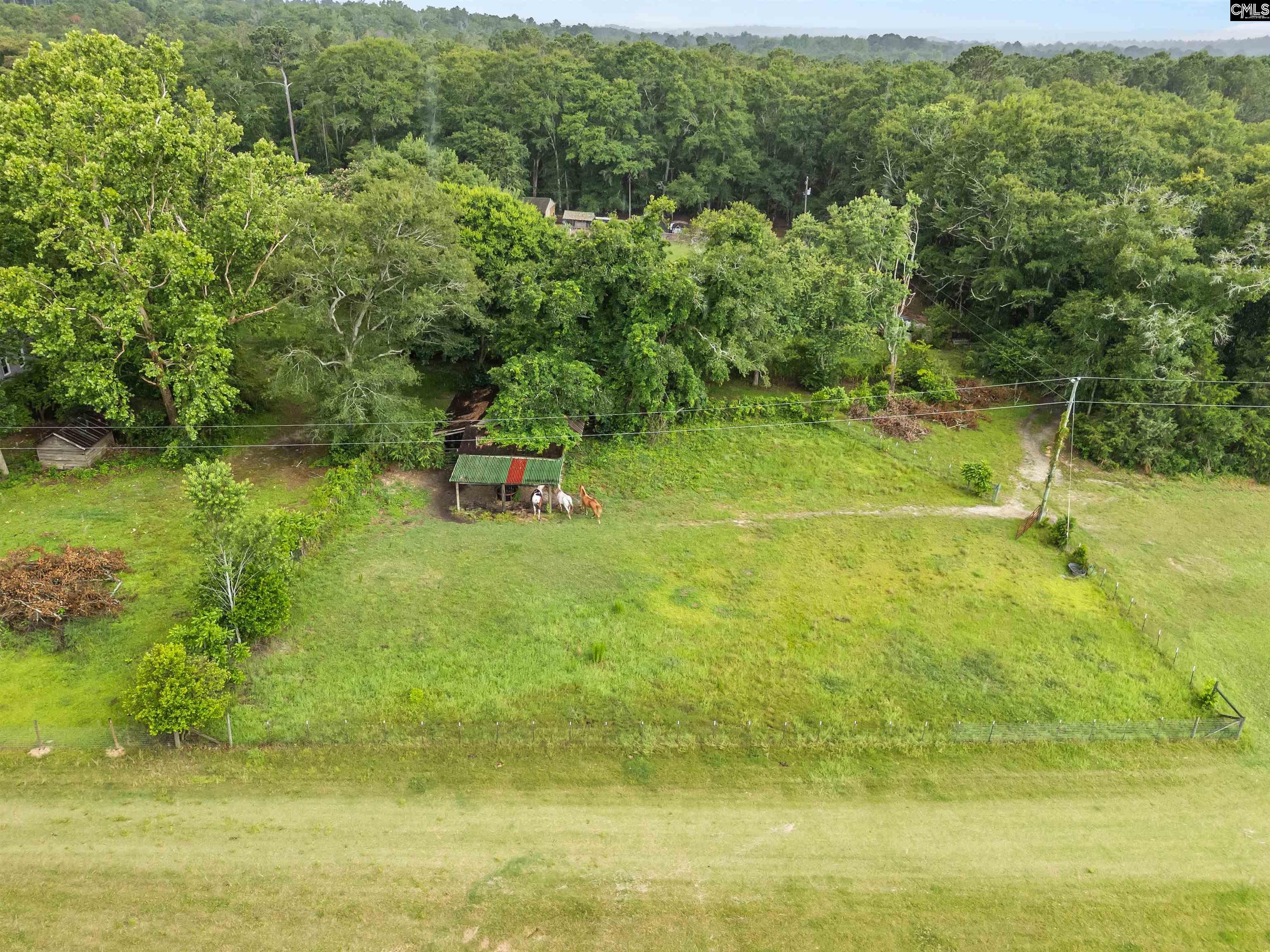 Elbert Taylor Rd., Gilbert, South Carolina image 7