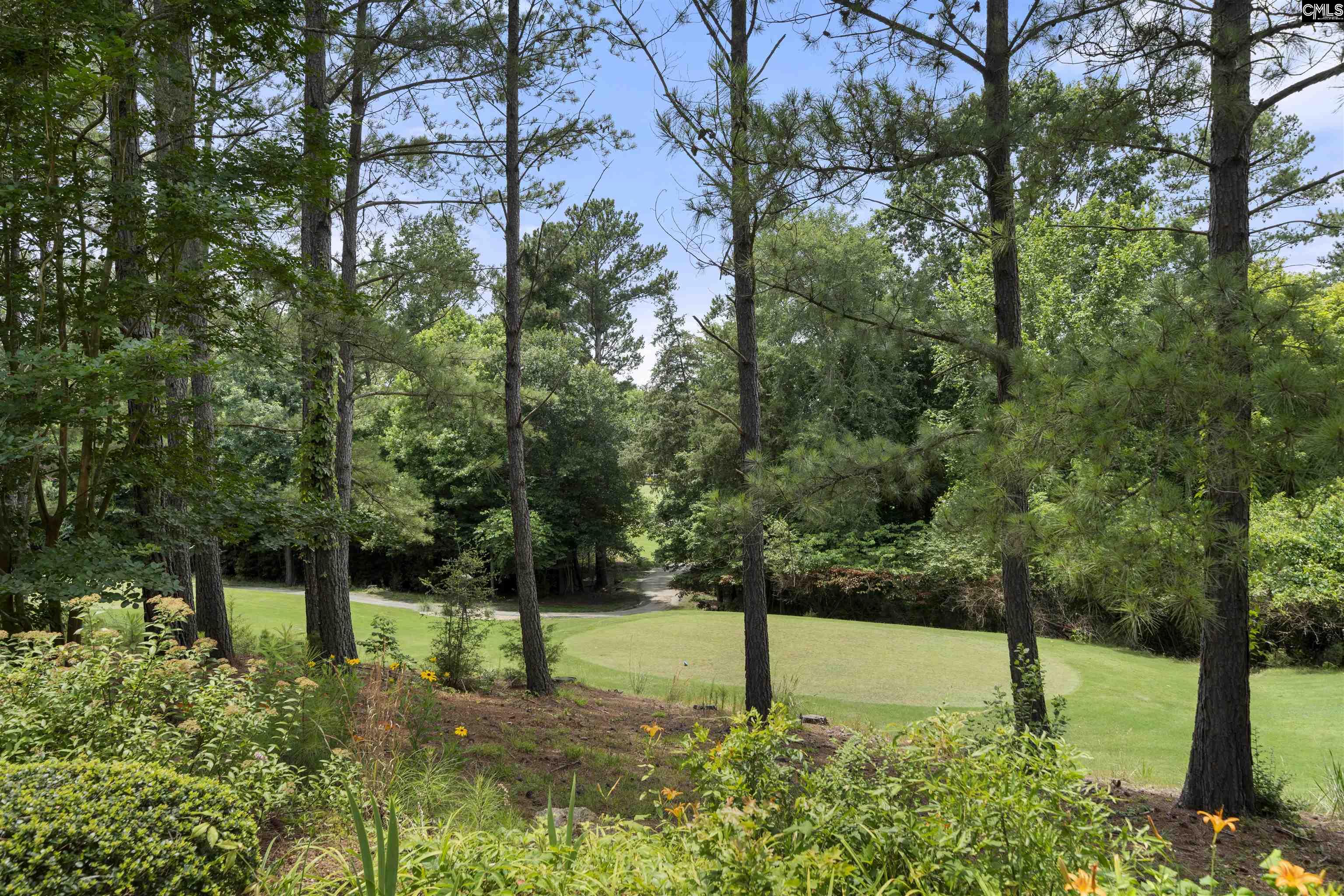 765 Cherry Hills Drive, Rock Hill, South Carolina image 30