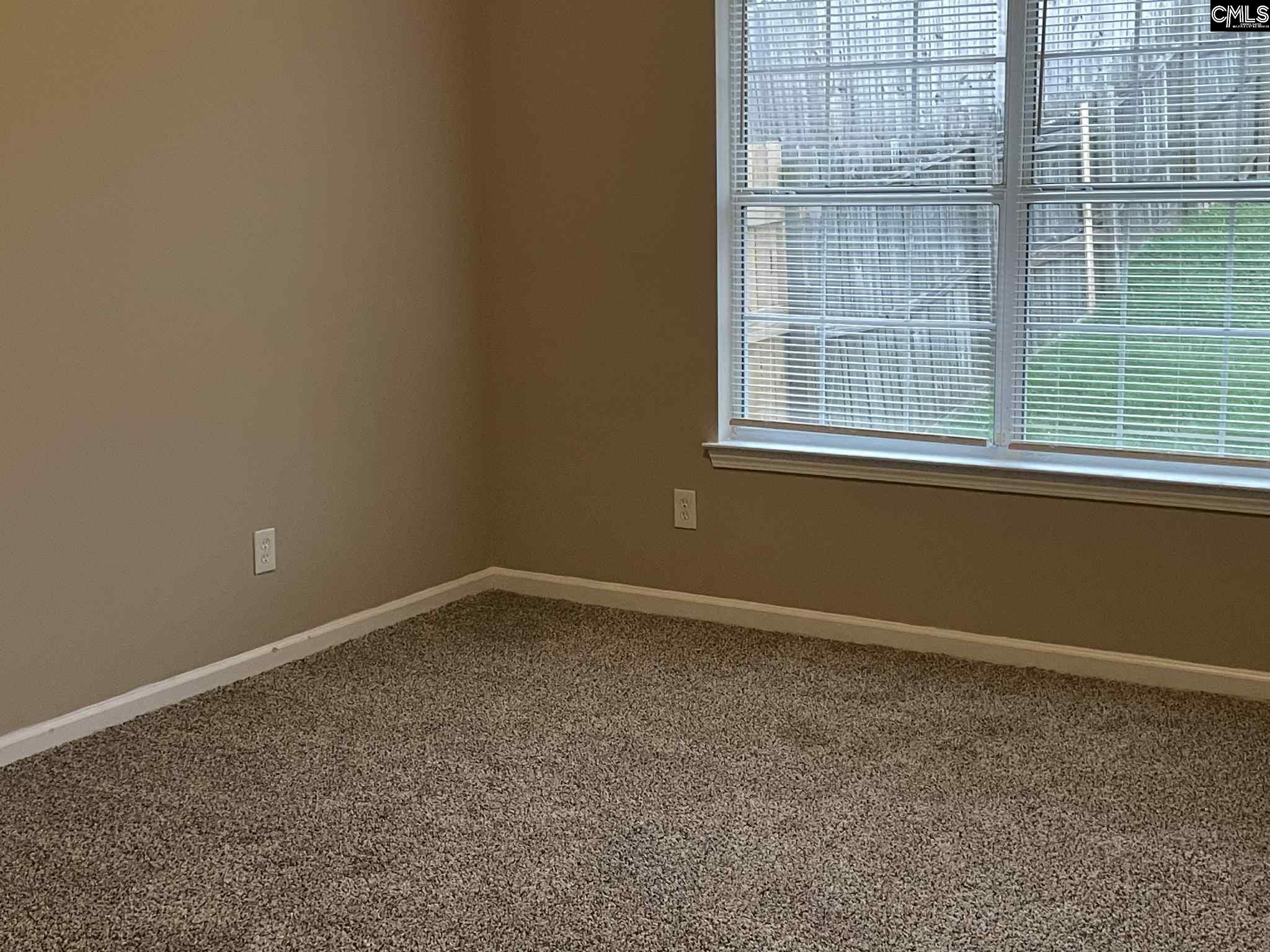 205 Hamilton Place Road, Columbia, South Carolina image 6