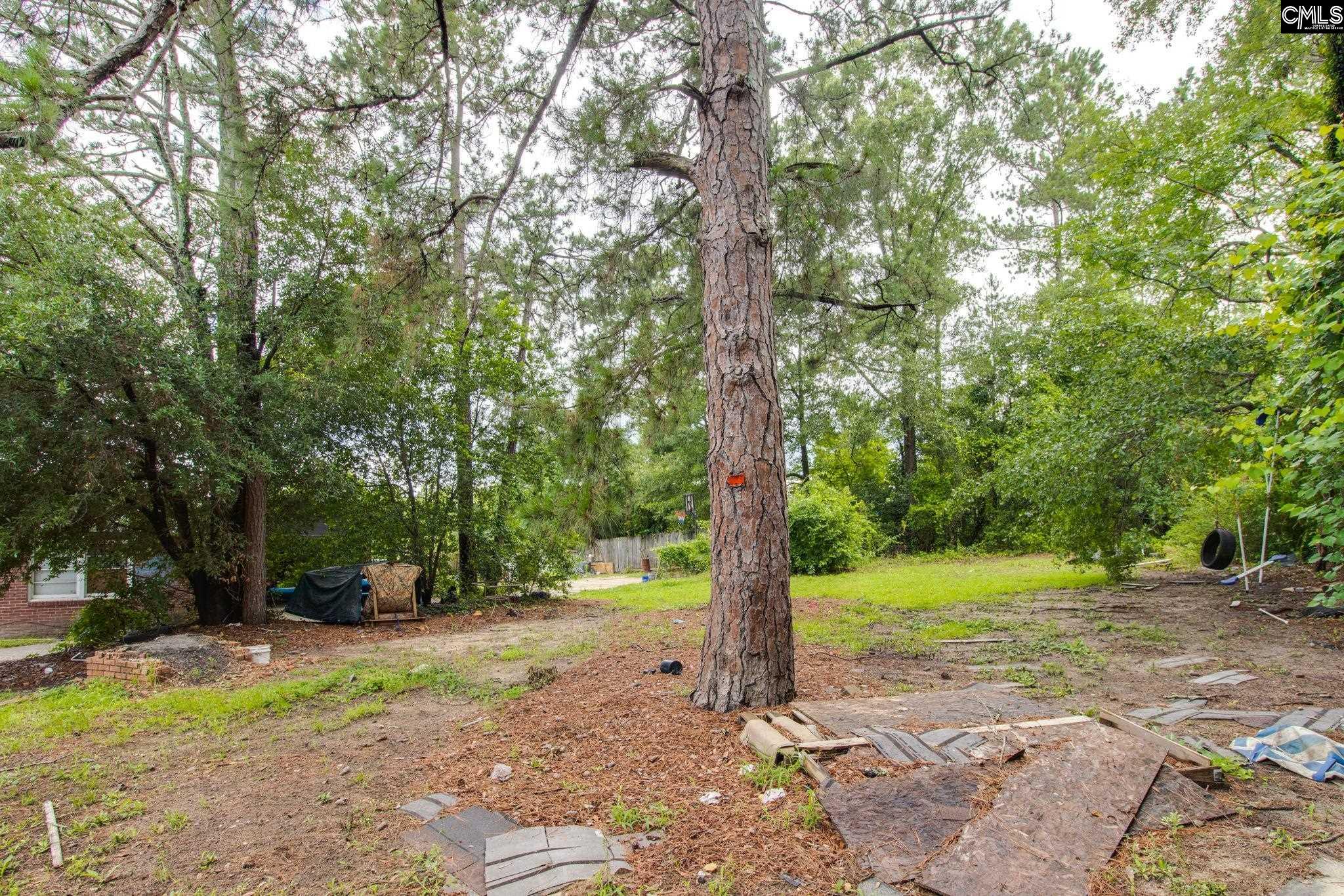 105 Bowling Avenue, Columbia, South Carolina image 29