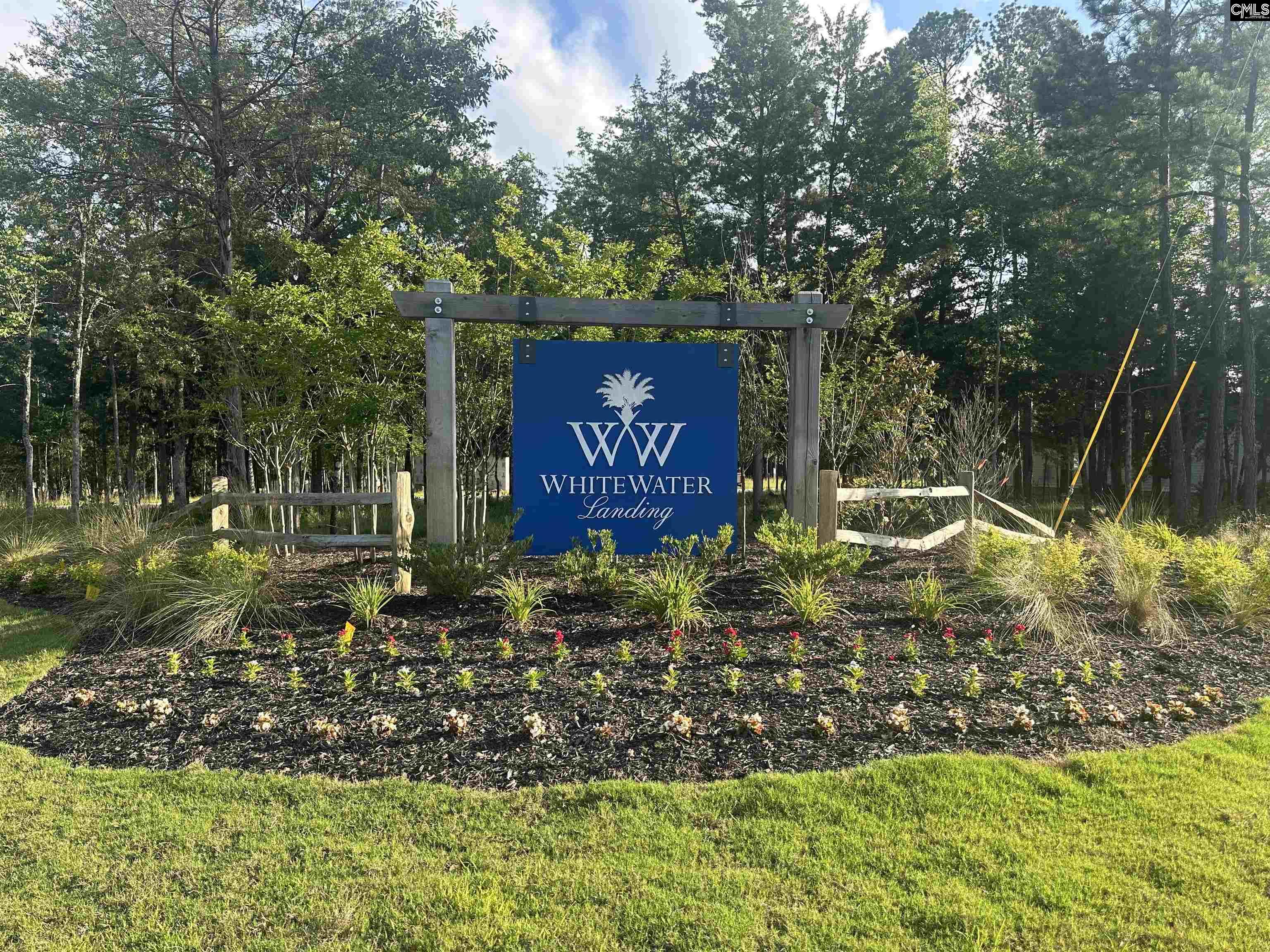 812 Elms Spinney Lane, Chapin, South Carolina image 1