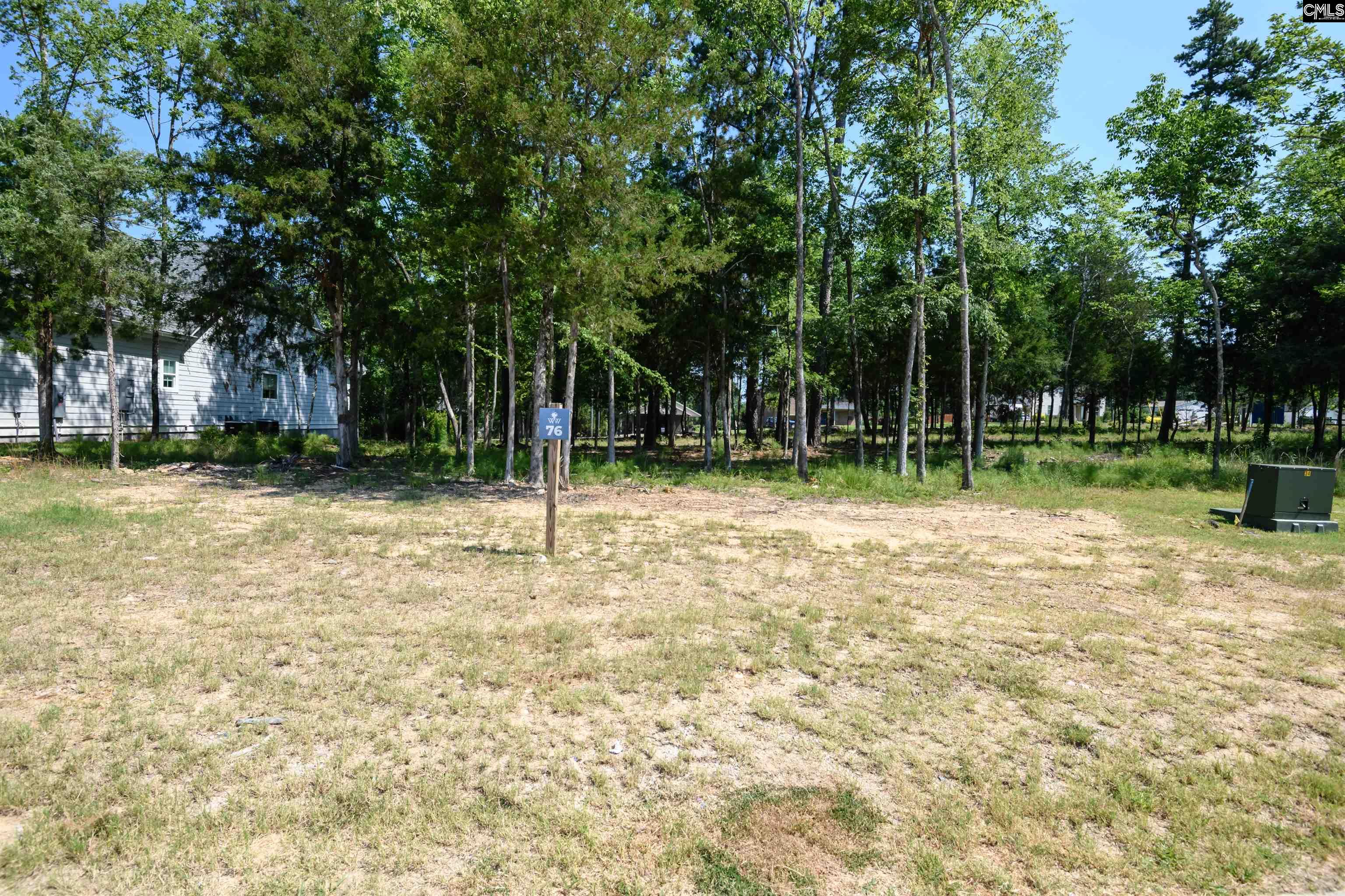 812 Elms Spinney Lane UNIT #76 Chapin, SC 29036