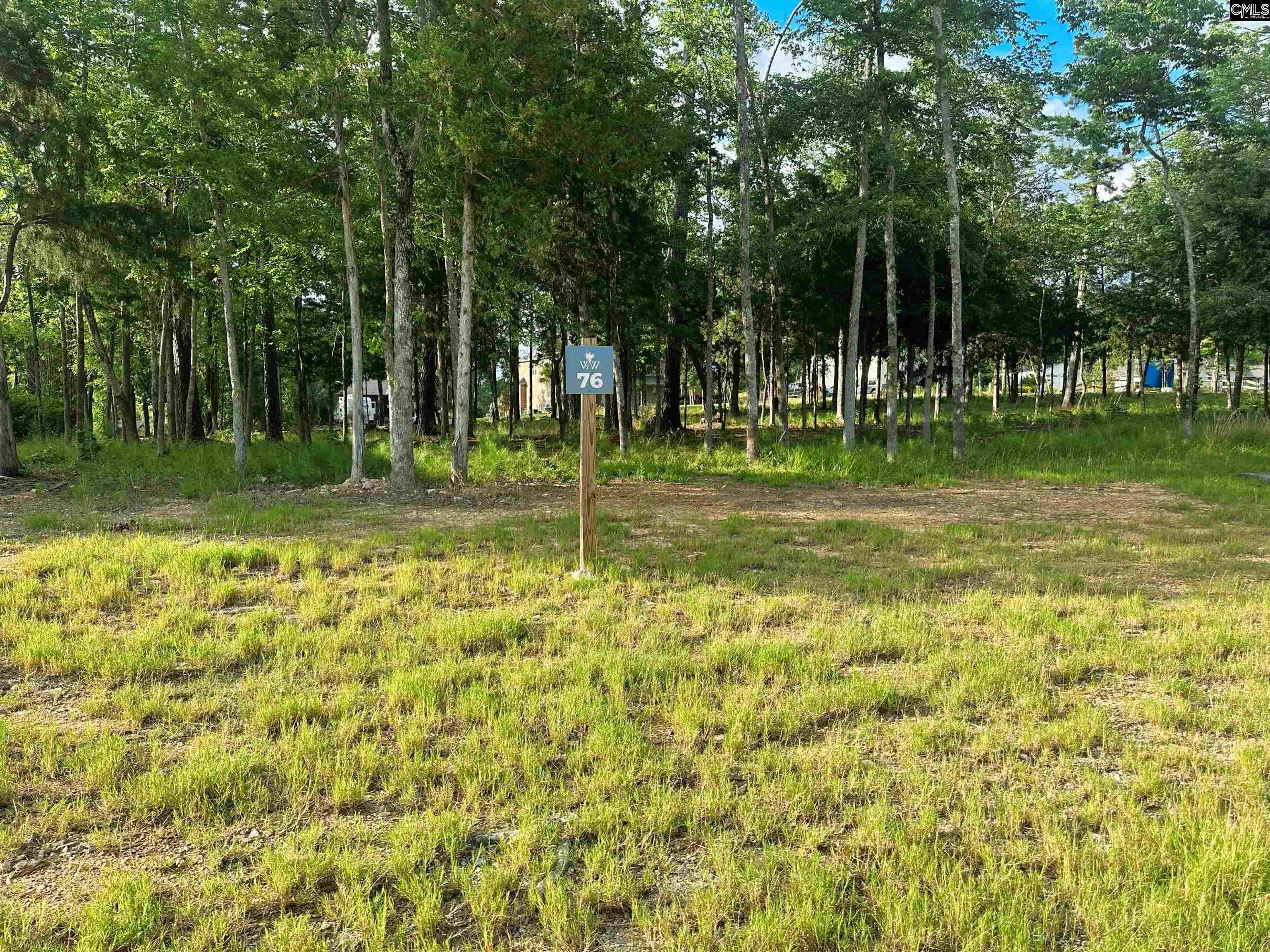 812 Elms Spinney Lane, Chapin, South Carolina image 2