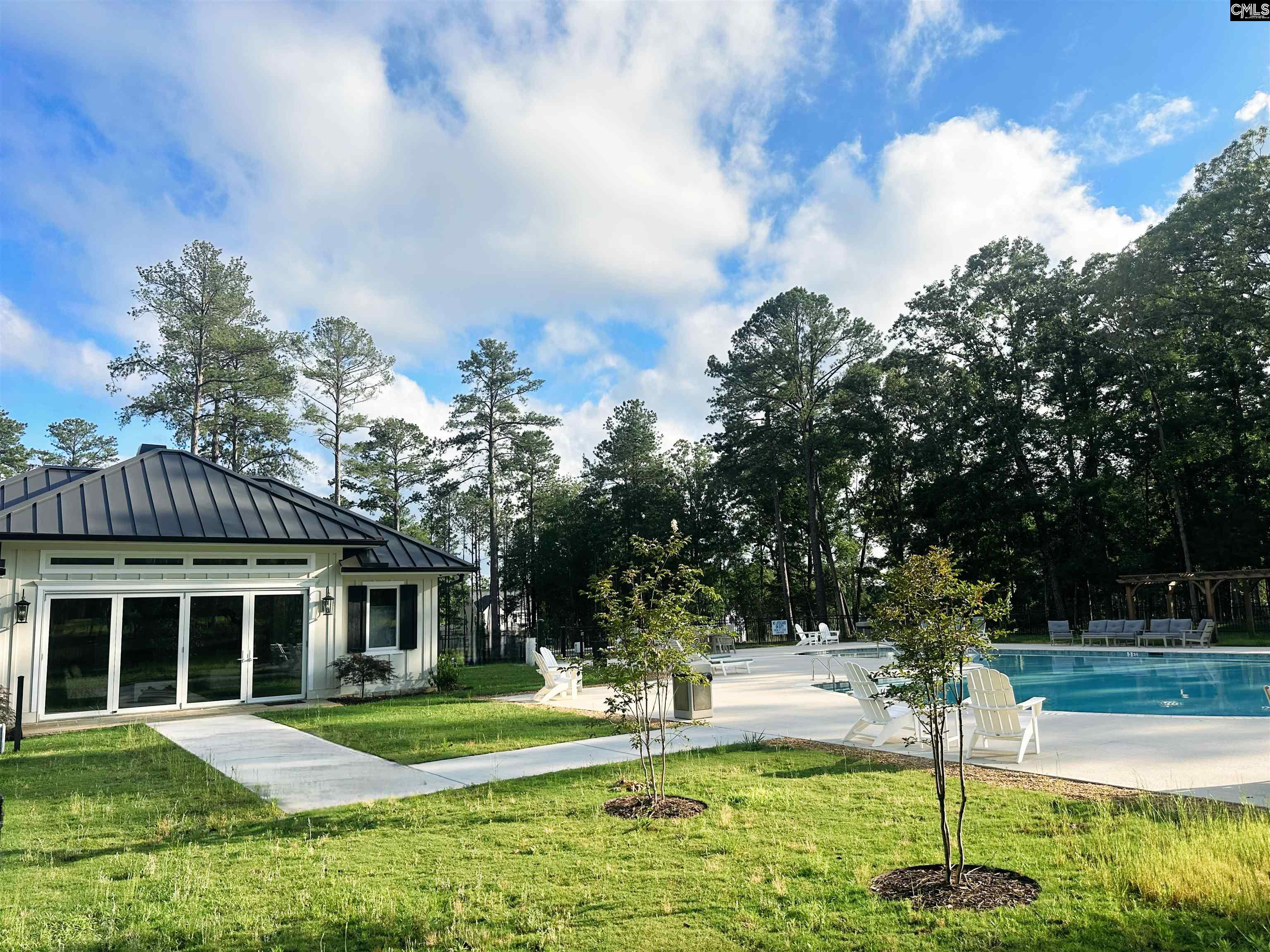 812 Elms Spinney Lane, Chapin, South Carolina image 4