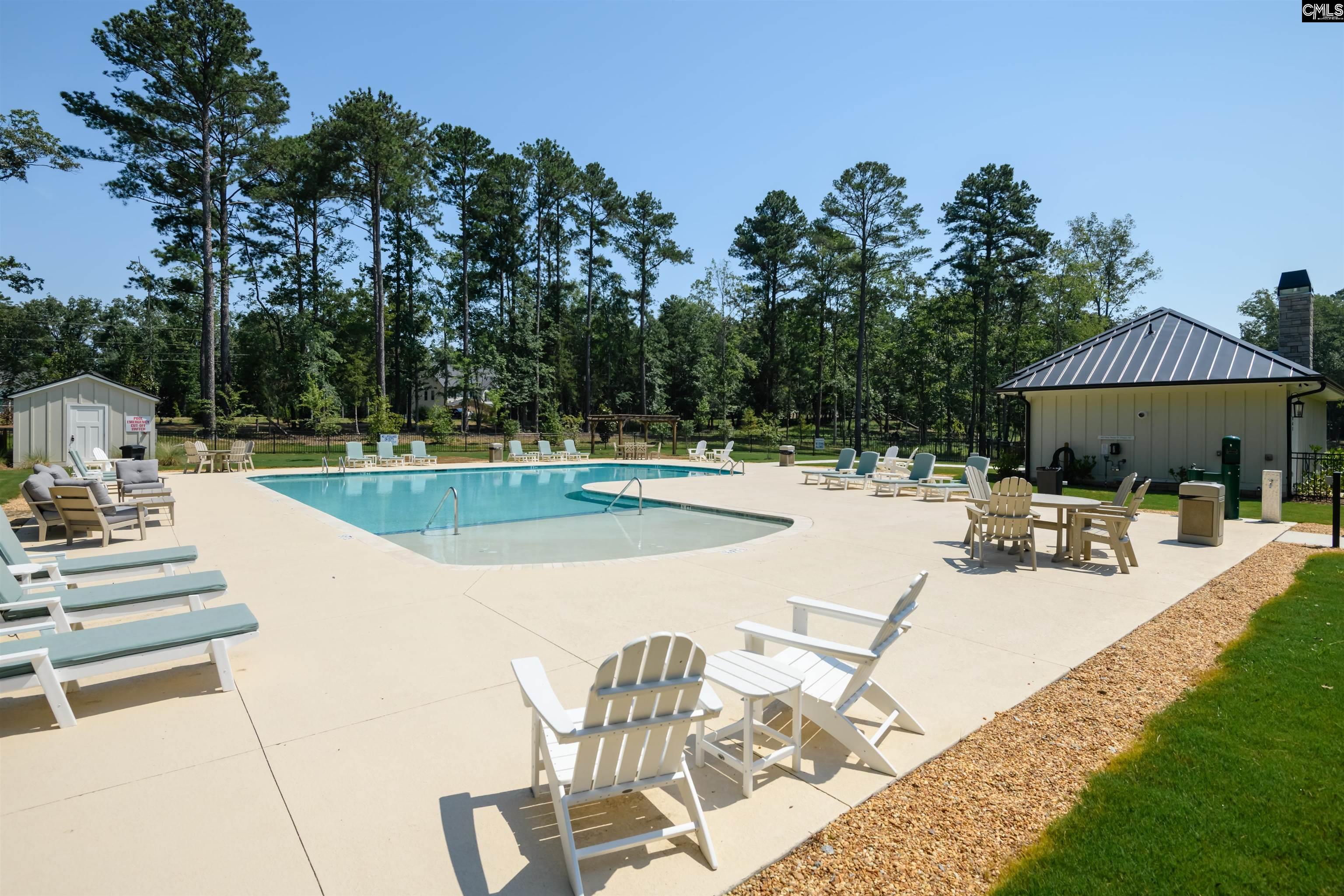 812 Elms Spinney Lane UNIT #76 Chapin, SC 29036